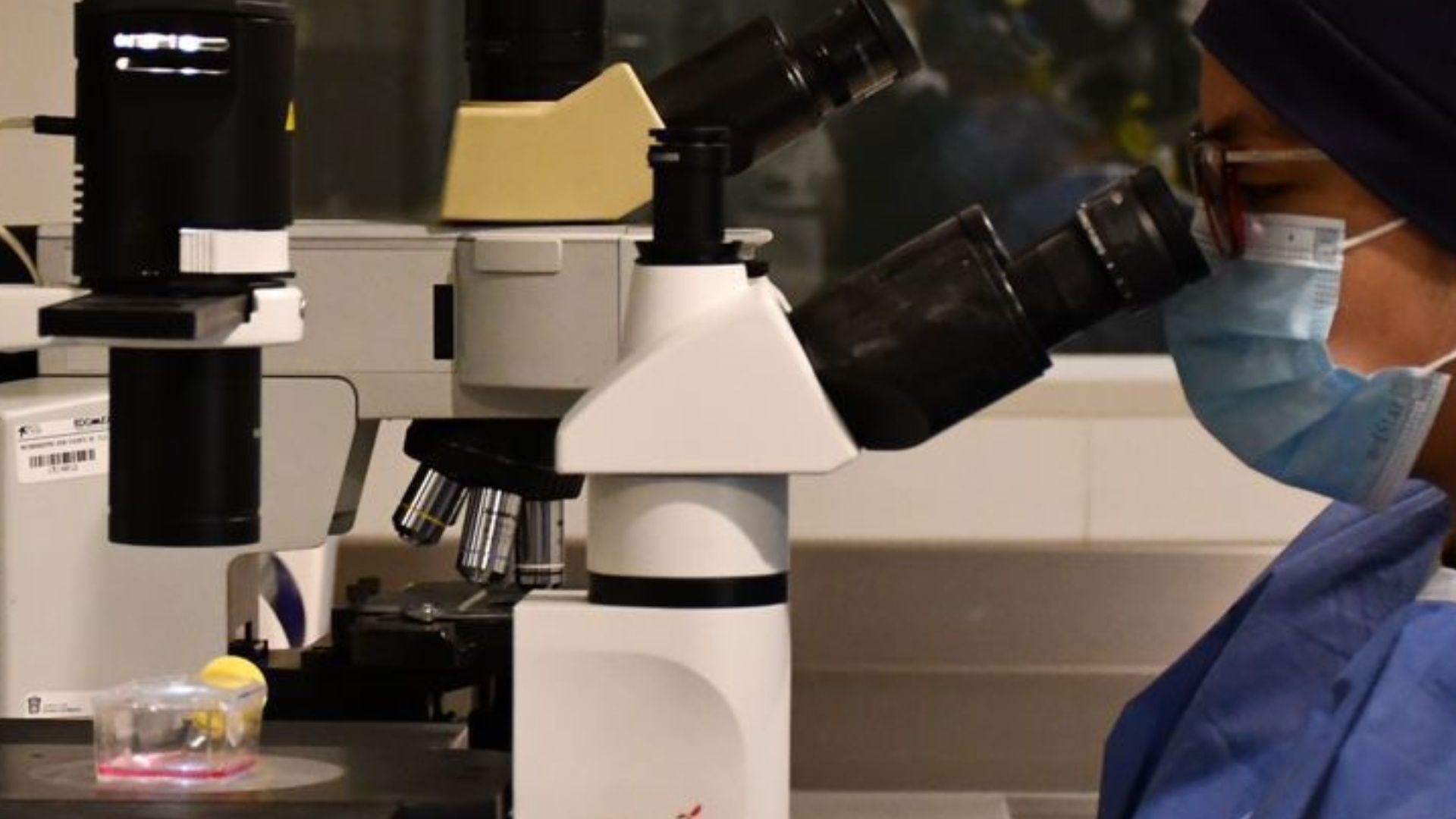 Habrá Castigo a Responsables por Brote de Bacteria Klebsiella Oxytoca, Asegura Sheinbaum
