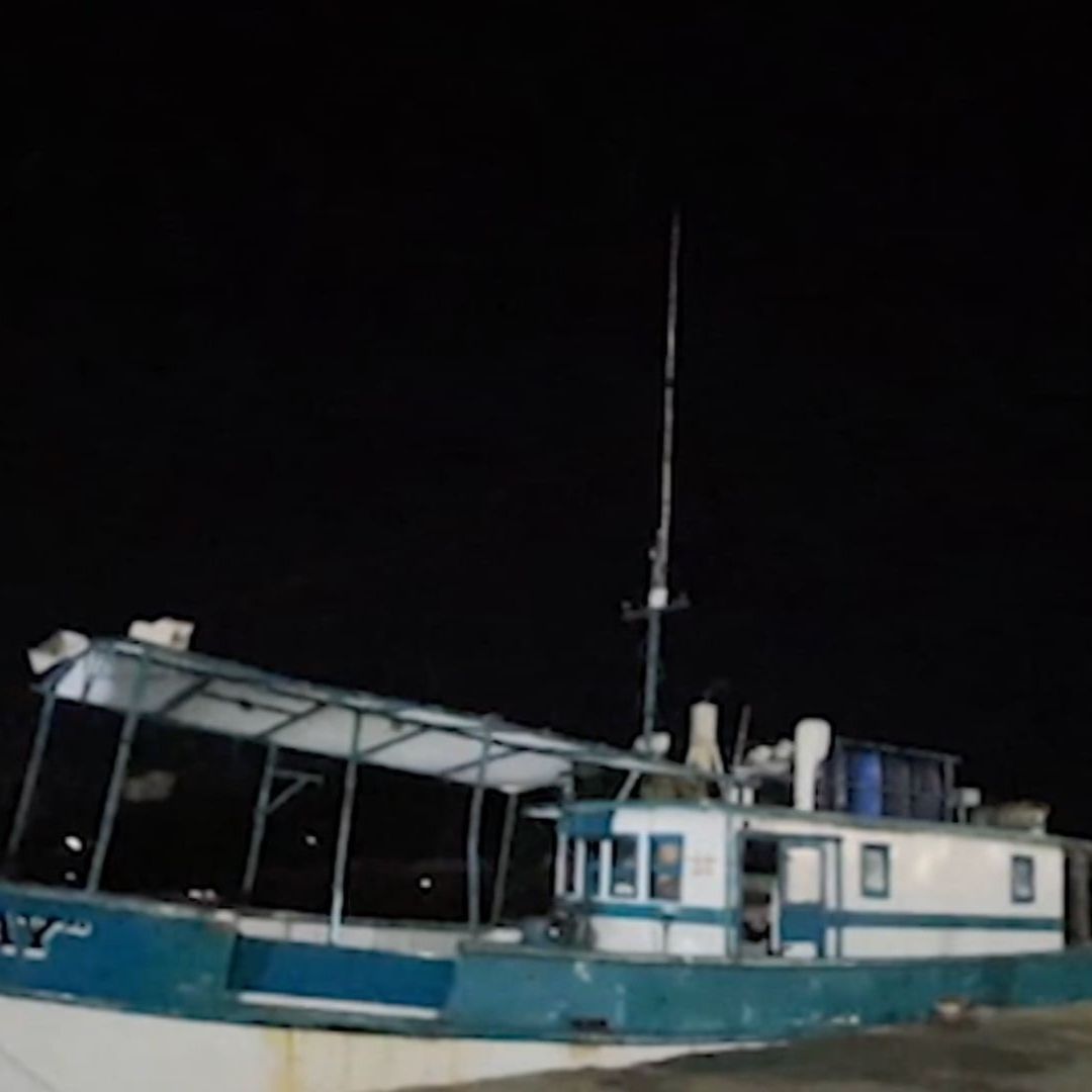 Aseguran 280 kilos de Langosta; Detienen Cinco Personas en el Puerto de Progreso | Imagen: Virales_Mx