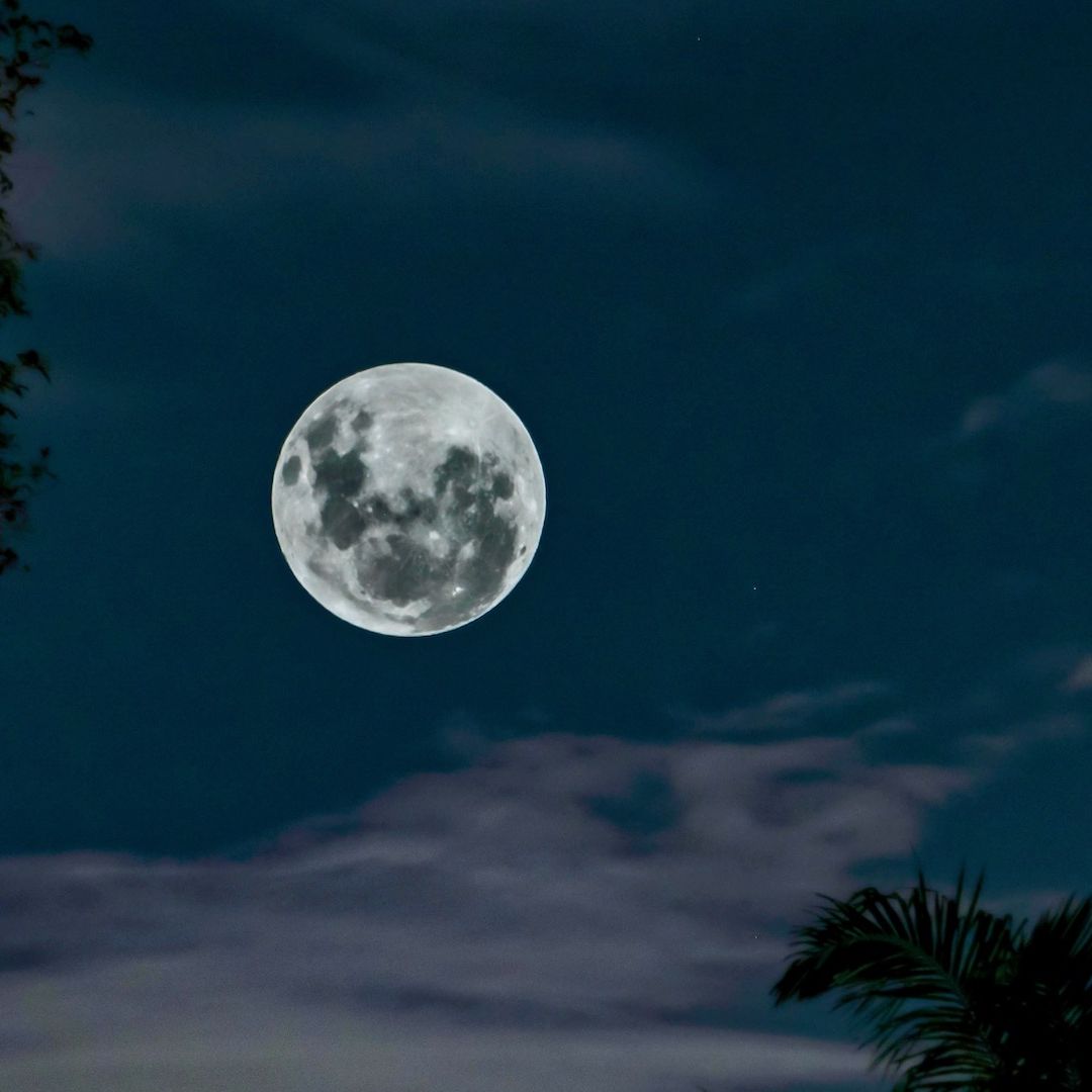 Así podrás ver la última luna llena del 2024, la Luna Fría