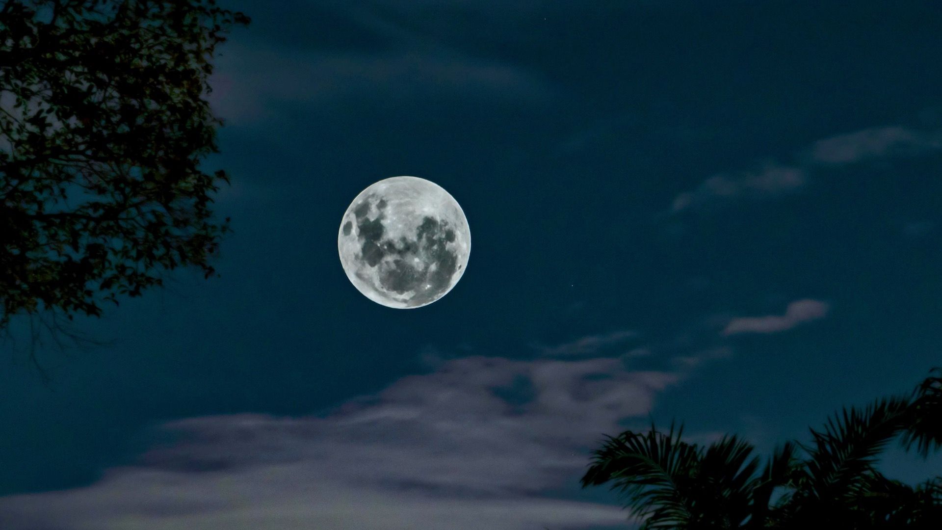 Así podrás ver la última luna llena del 2024, la Luna Fría