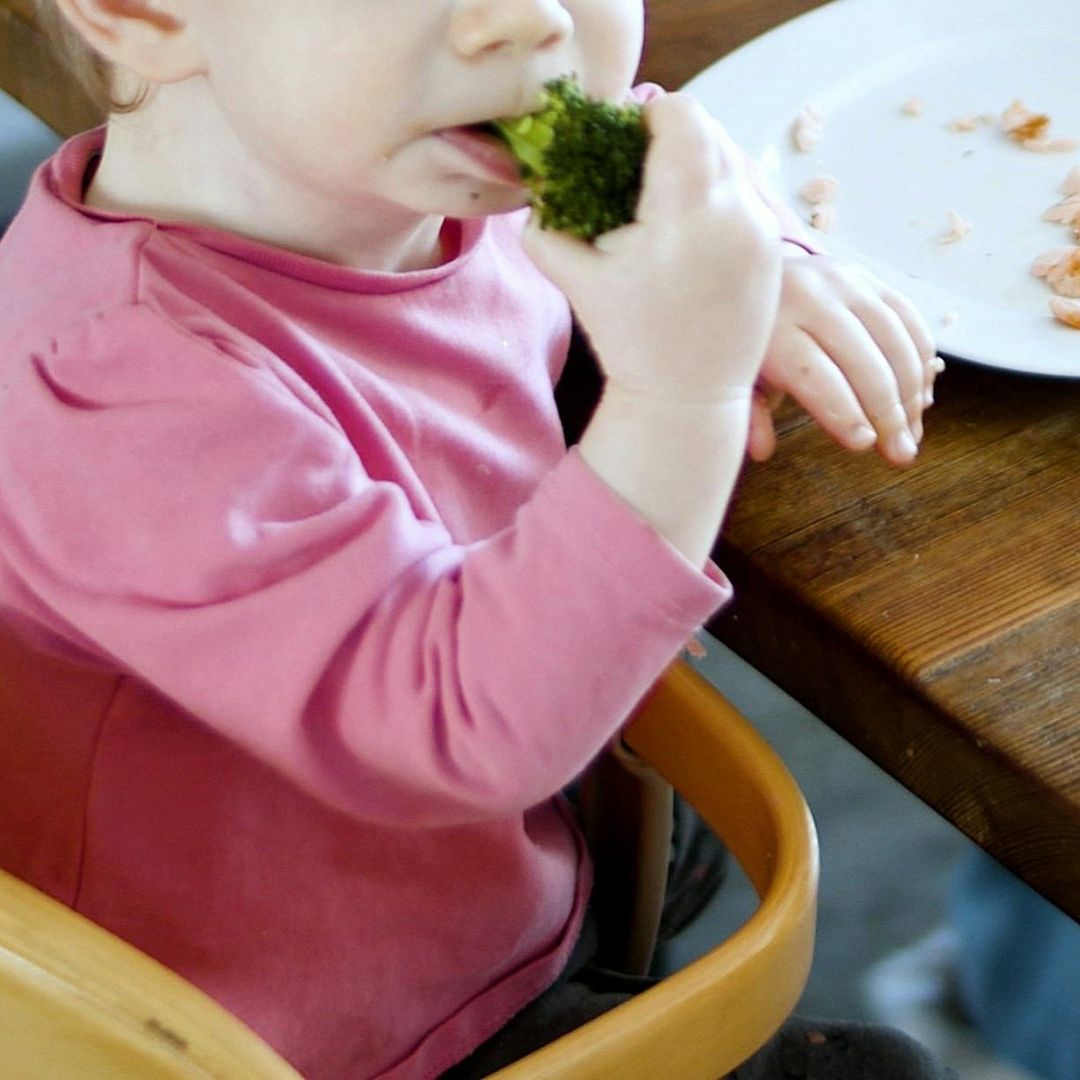 Niño de 3 Años Muere tras Desnutrición por Dieta Vegana; Fue Encontrado Enterrado en su Casa