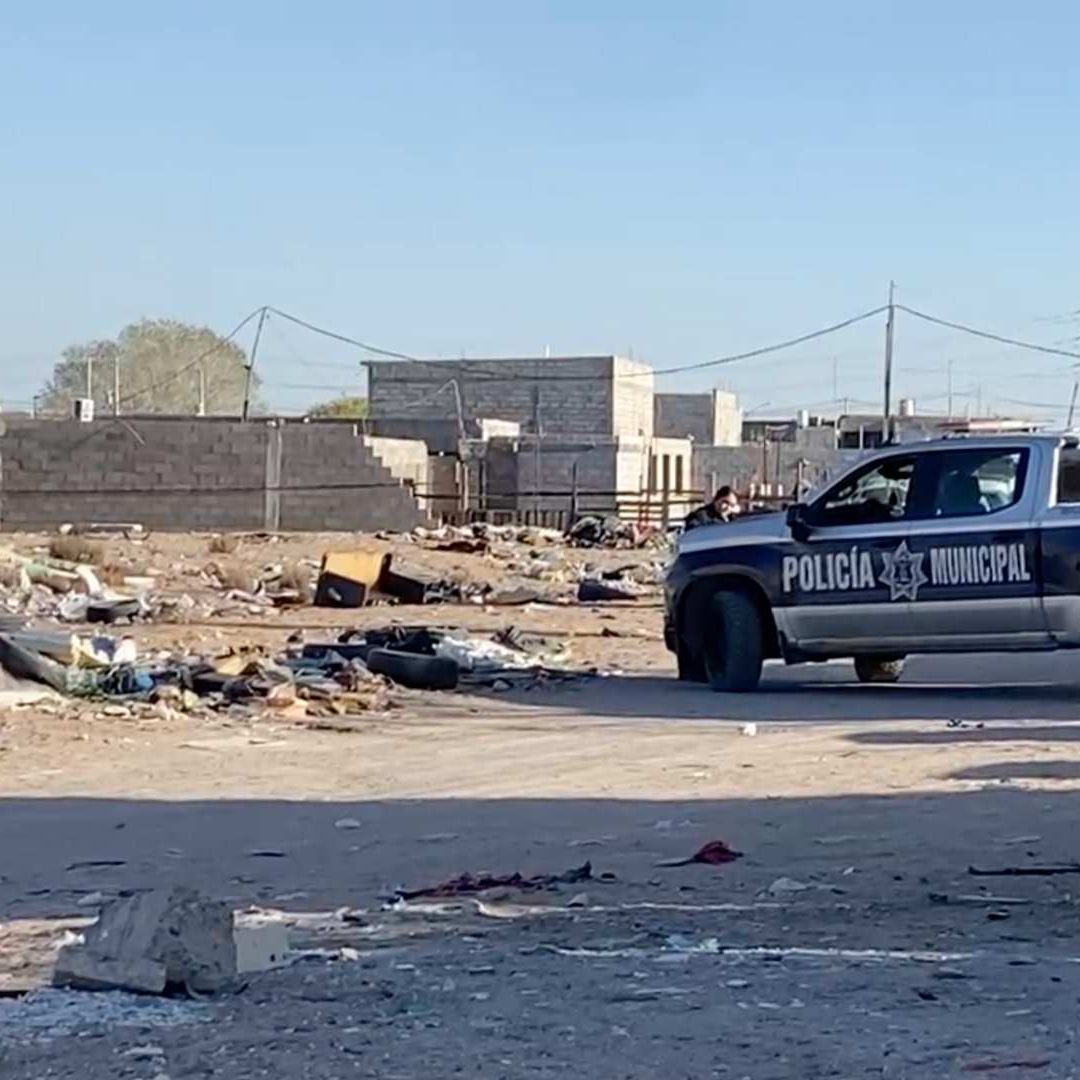 Recién Nacido Es Encontrado en la Calle Siendo Devorado por un Perro