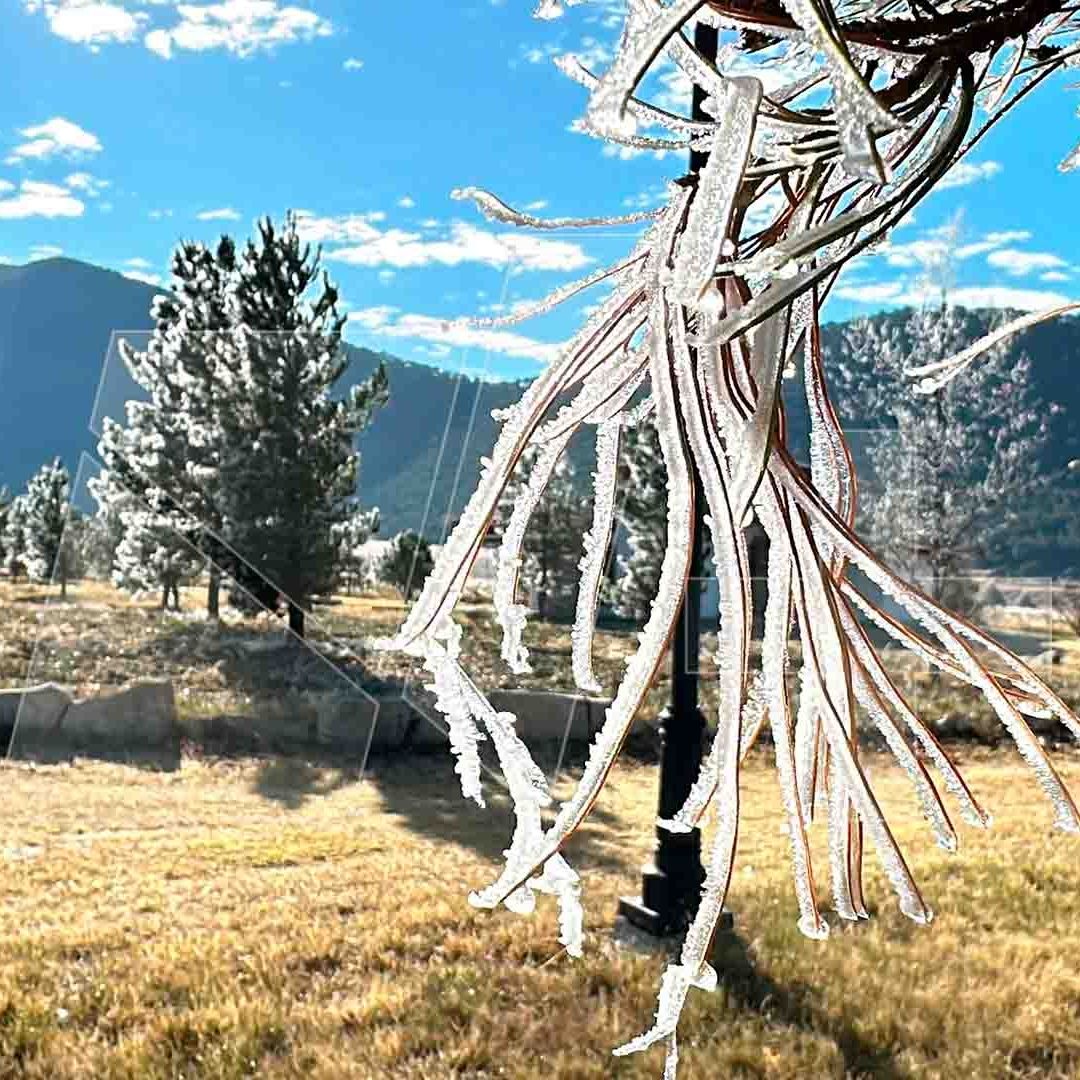Helada por Frente Frío Congela la Sierra de Arteaga, Coahuila