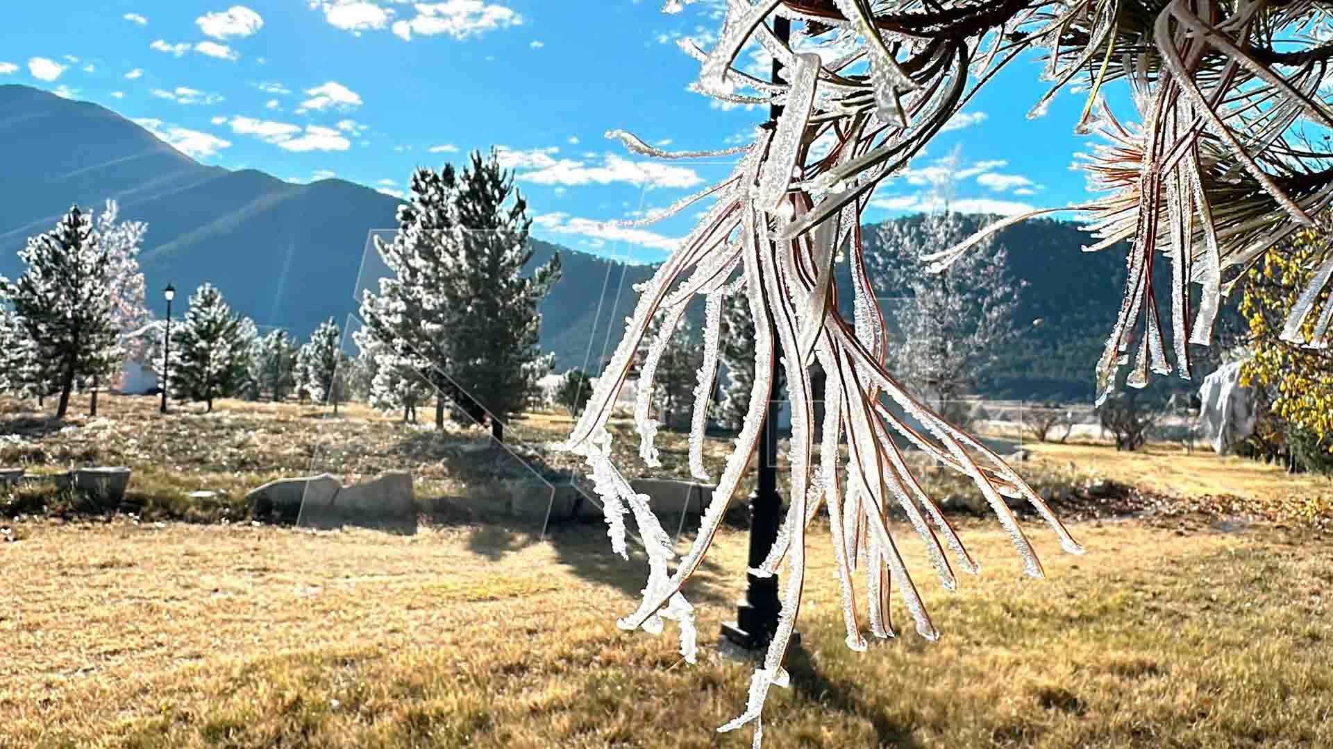 Helada por Frente Frío Congela la Sierra de Arteaga, Coahuila