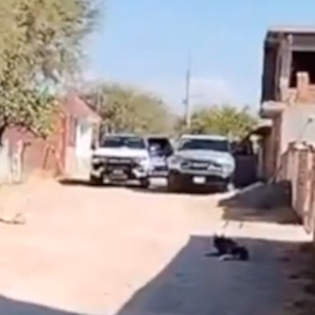 Tres Policías Estatales son Asesinados en una Emboscada Entre Irapuato y Guanajuato Capital. Foto: Nmás Bajío
