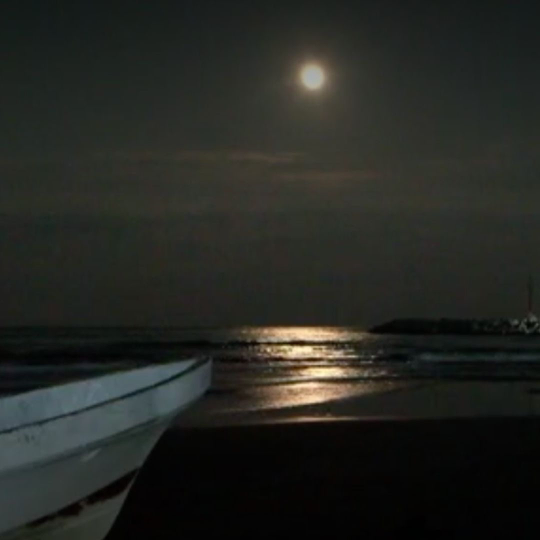 Lluvia de Estrellas Gemínidas en Veracruz