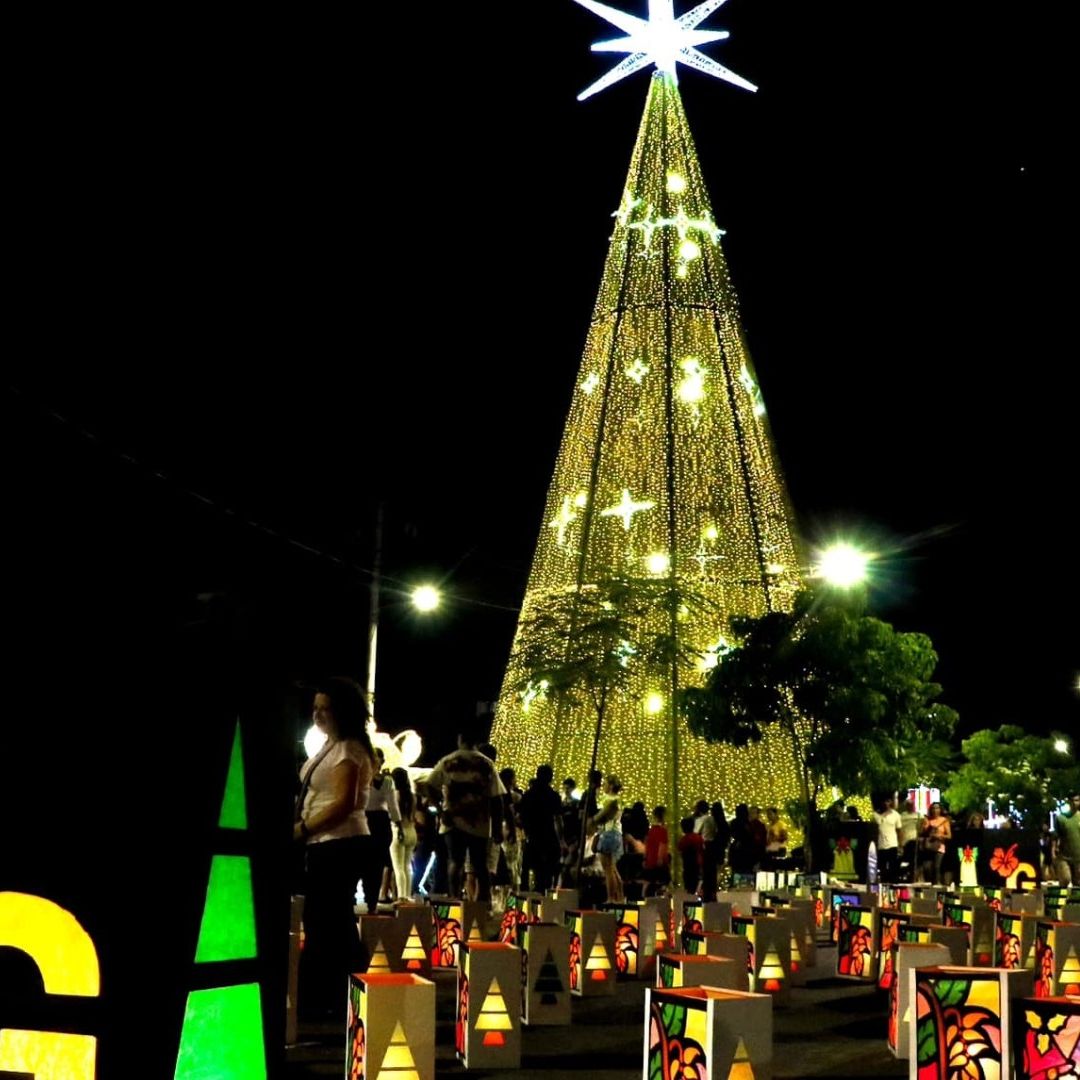 Cae Árbol de Navidad de 30 Metros y Mata a Un Auxiliar de Policía de 19 Años