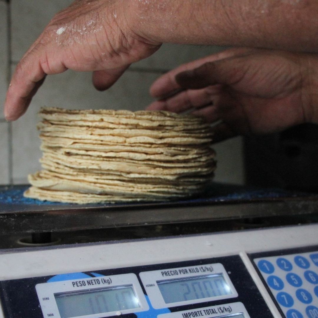 Profeco Aclara que No Inspecciona Tortillerías, pero Sí Verifica que Respeten Precios Máximos