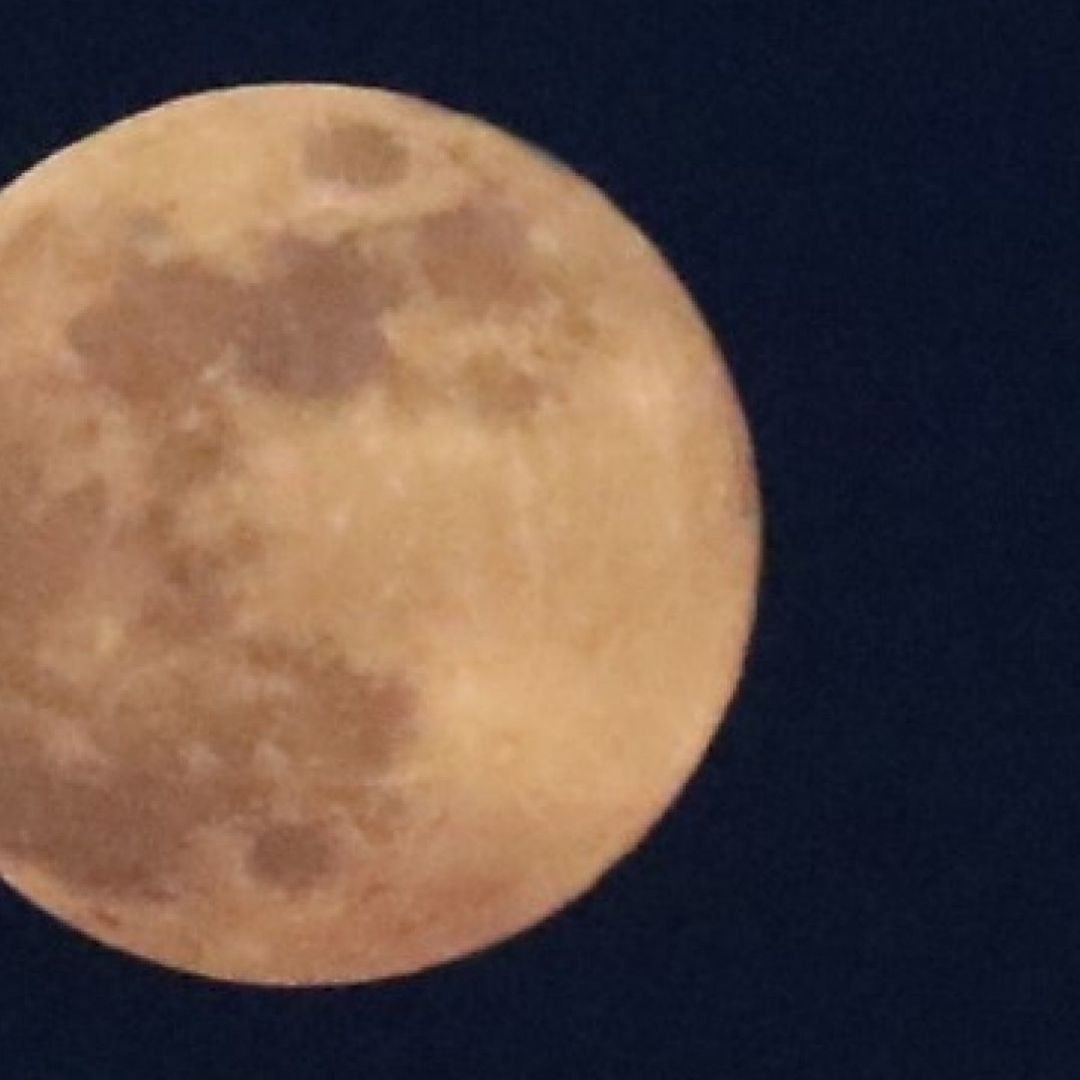 Hoy es Luna Llena diciembre 2024 cuándo habrá a qué hora ver la última del año en México