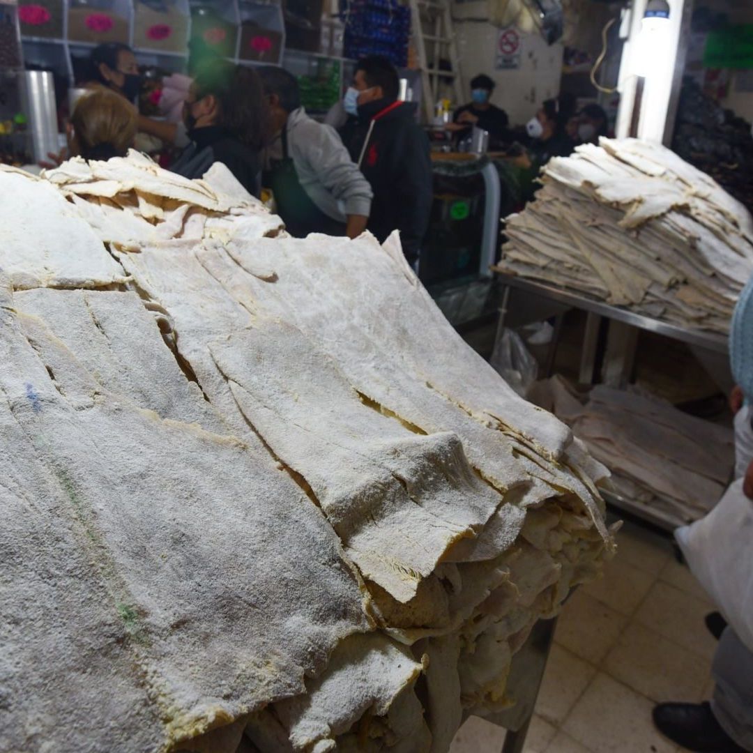 ¿De Verdad Comemos Bacalao en Diciembre? Oceana Detecta que Suplen Pescado con estas Especies