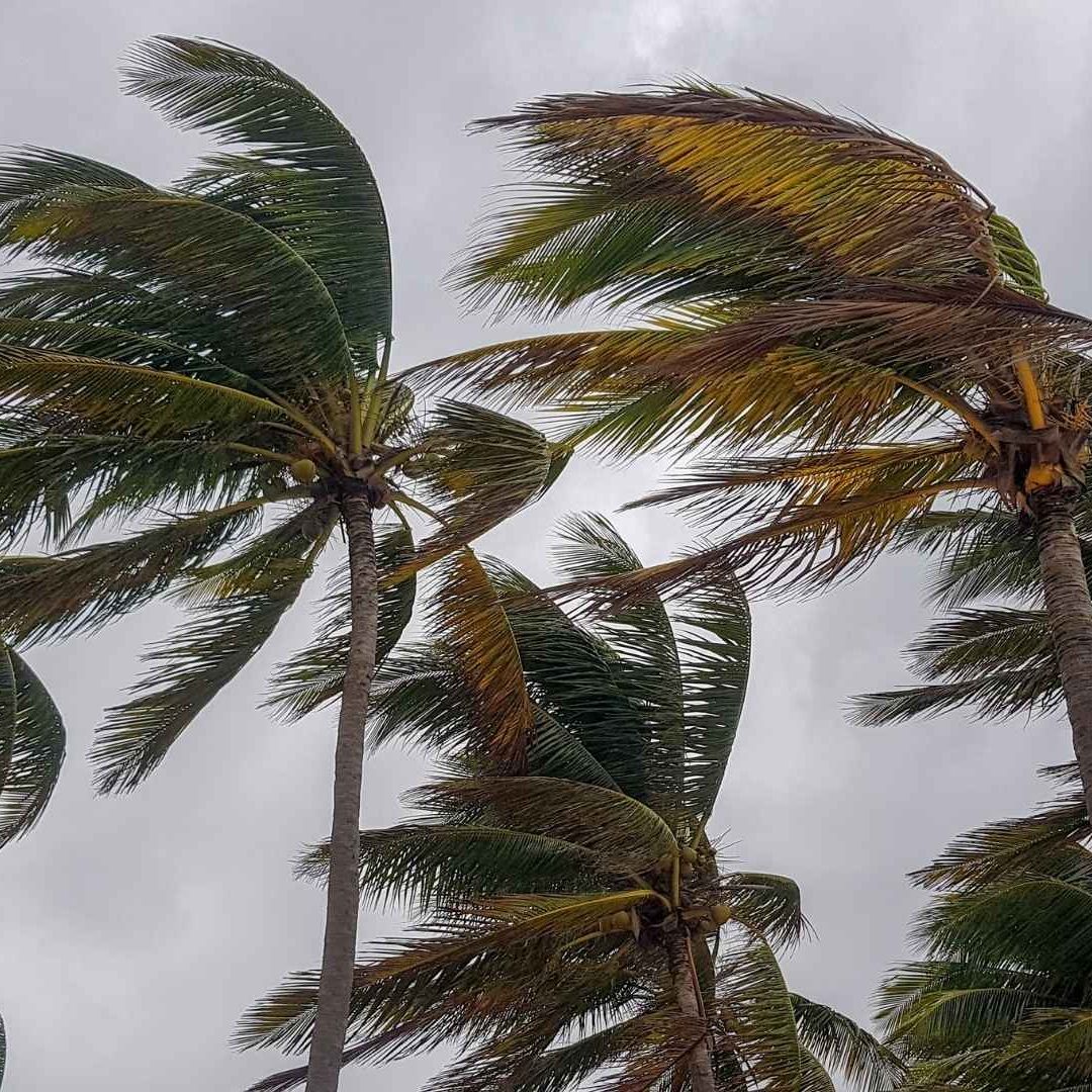 Alertan por Llegada de Fuertes Vientos en Baja California; Aumentará Temperatura