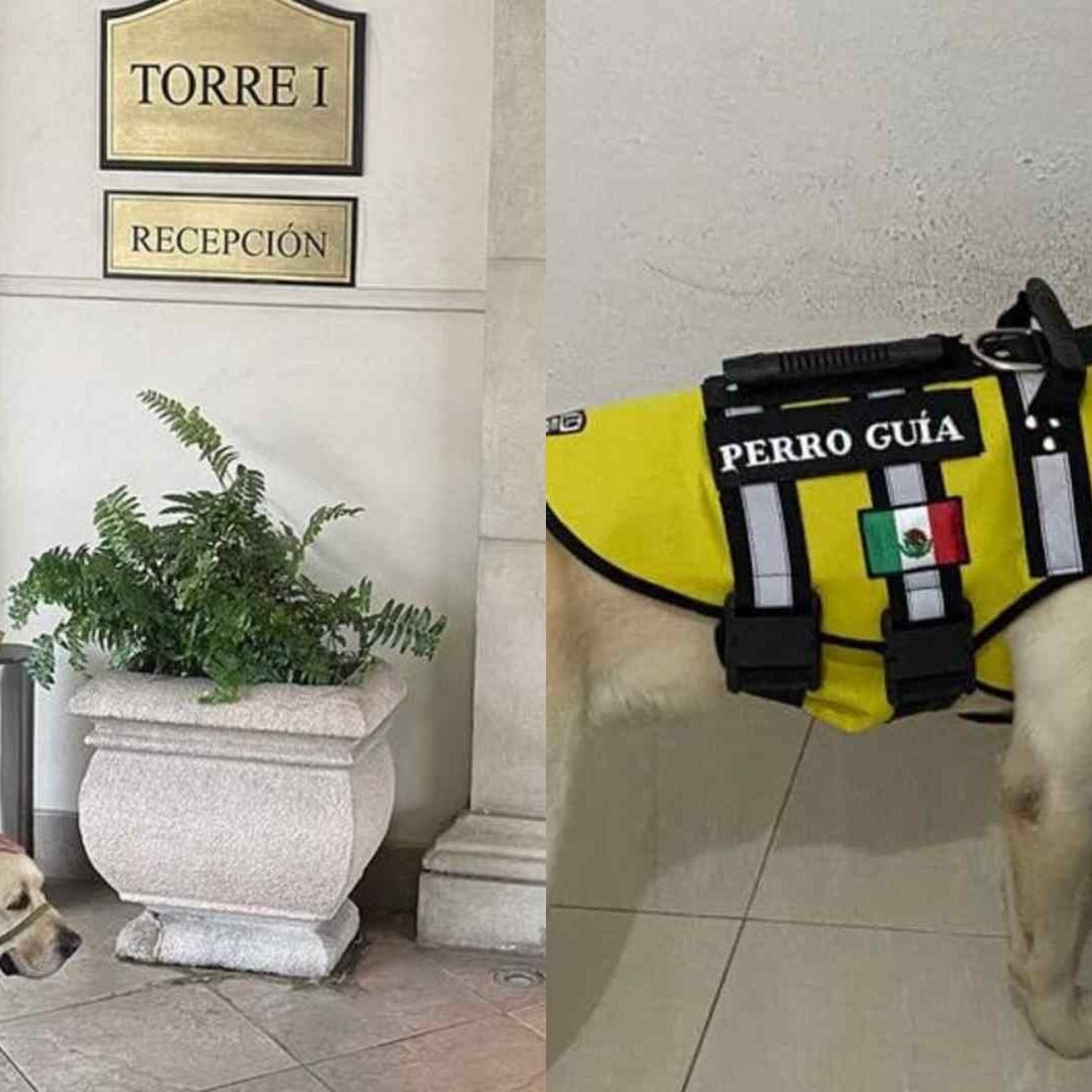 Joven con Discapacidad Visual Denuncia a Hotel por Negarle Acceso con su Perro Guía en NL