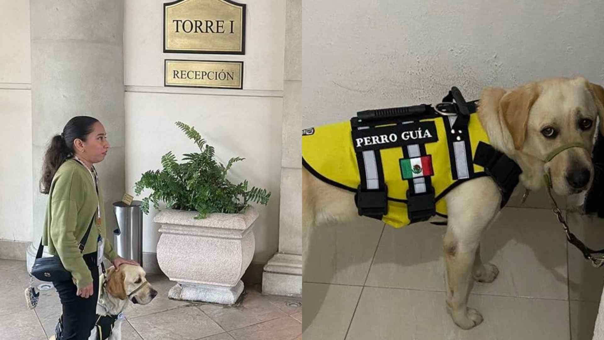 Joven con Discapacidad Visual Denuncia a Hotel por Negarle Acceso con su Perro Guía en NL