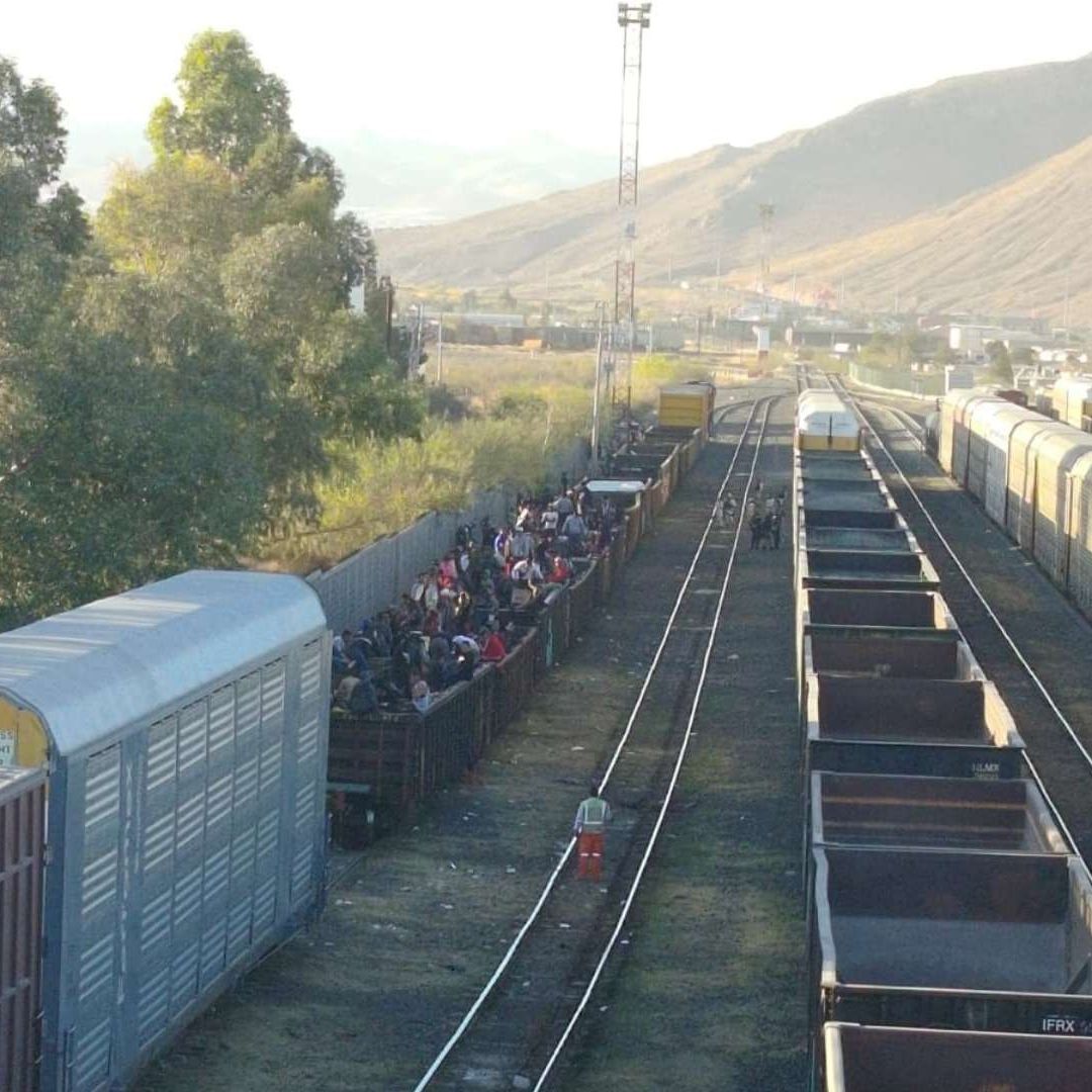 Más de 250 Migrantes son Bajados de Tren Rumbo a Ciudad Juárez
