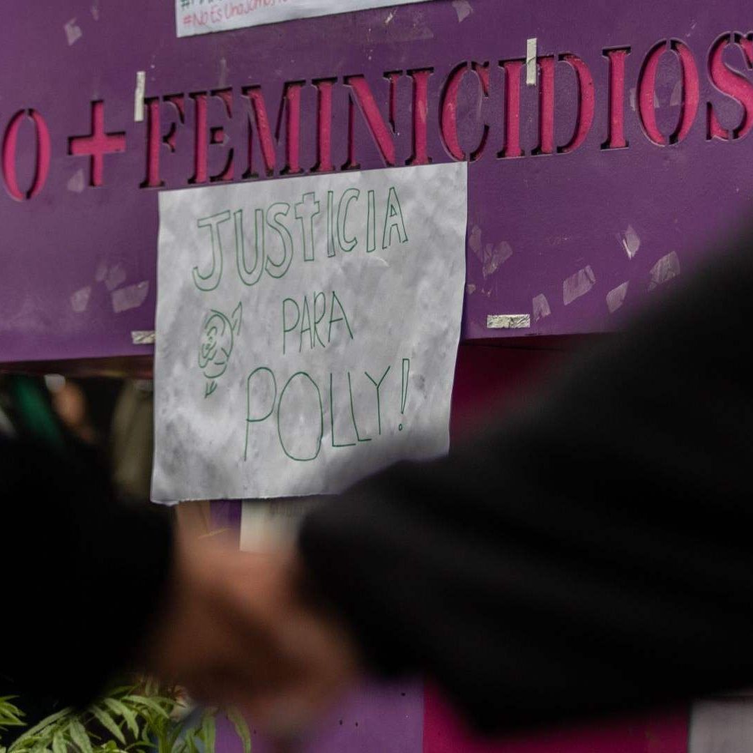 En México existen diversas organizaciones y centros para ayudar a víctimas de violencia de género