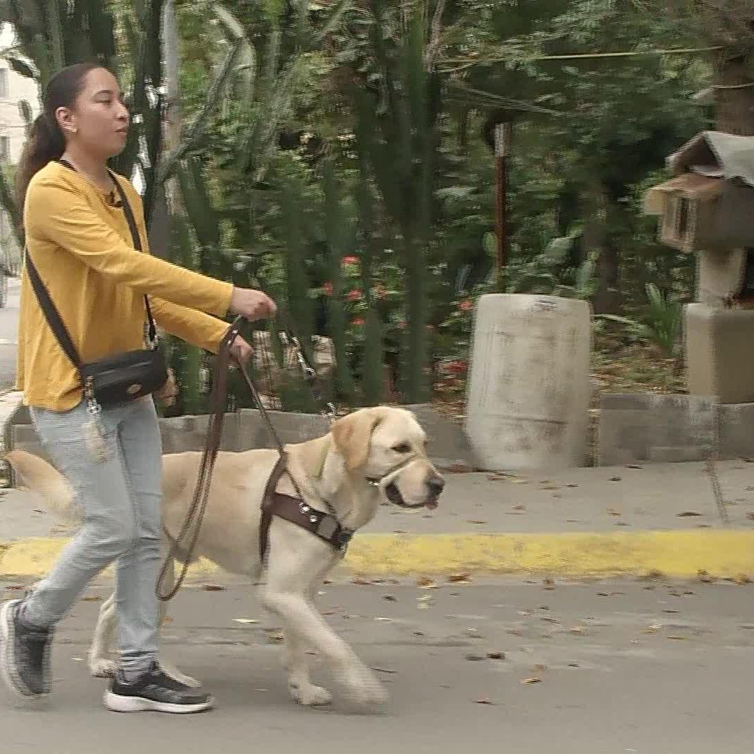 Joven Invidente Pide Conciencia para Discapacitados en Monterrey; Le Negaron el Acceso con Perro Guía en Hotel