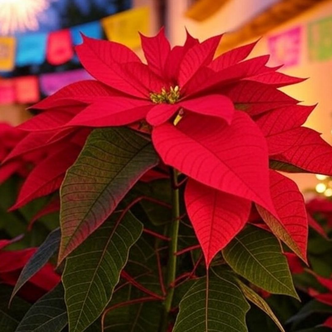 Imágenes para desear feliz Navidad con IA
