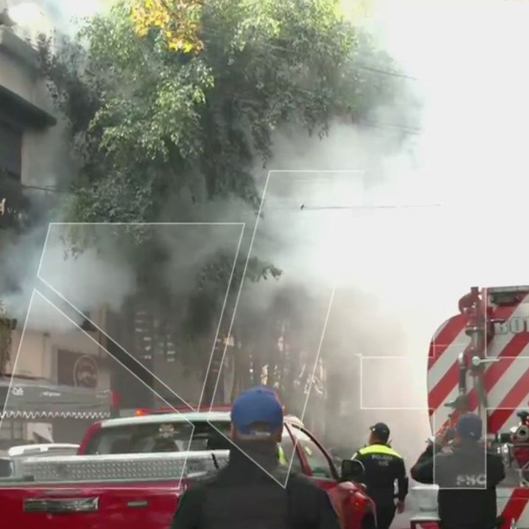 Perrito muere durante incendio en la colonia Juárez