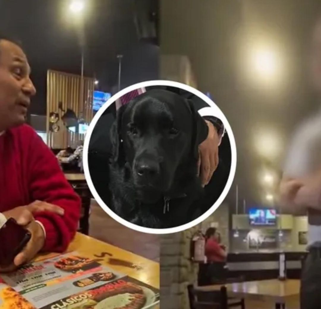 Chilis se Disculpa por Discriminación a Hombre con Perro Guía en Veracruz