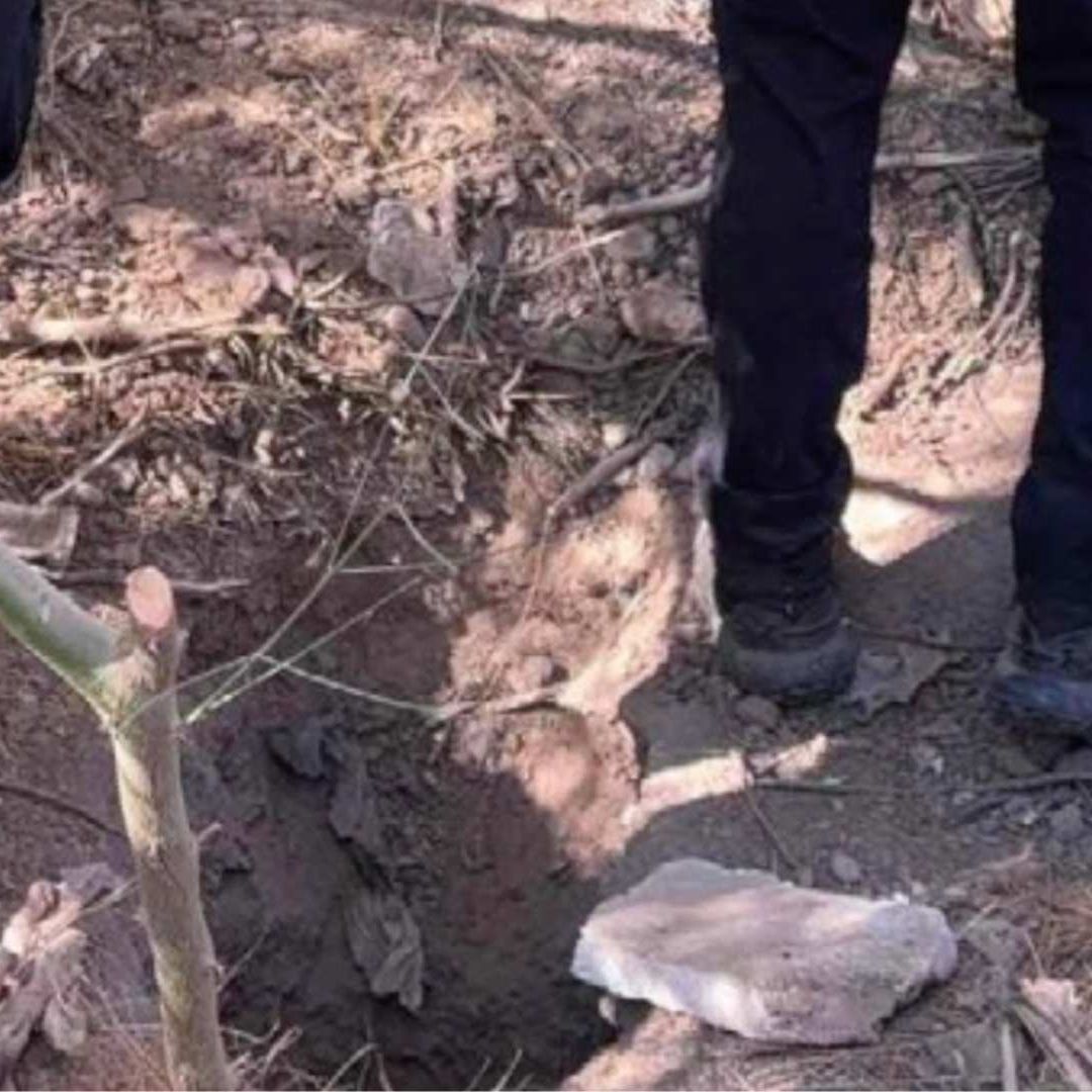 Localizan Túnel en Nogales que Conecta a Sonora y Estados Unidos