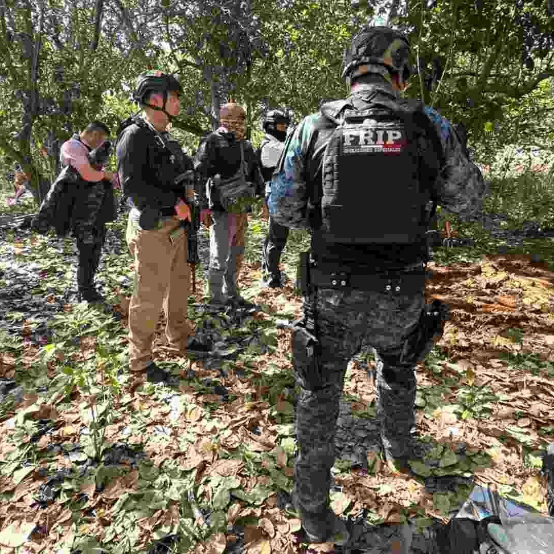 La región Frailesca lleva meses inmersa en una crisis de violencia.
