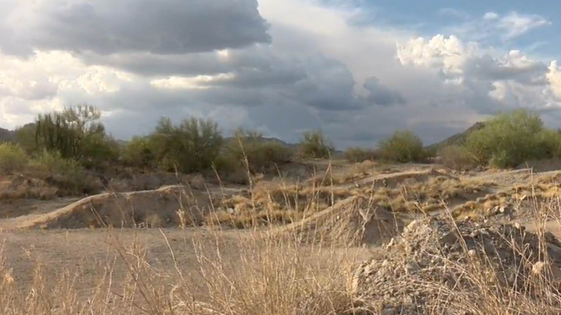 Localizan Cuerpo Sin Vida con Signos de Tortura en Cráneo y Rostro en Hermosillo