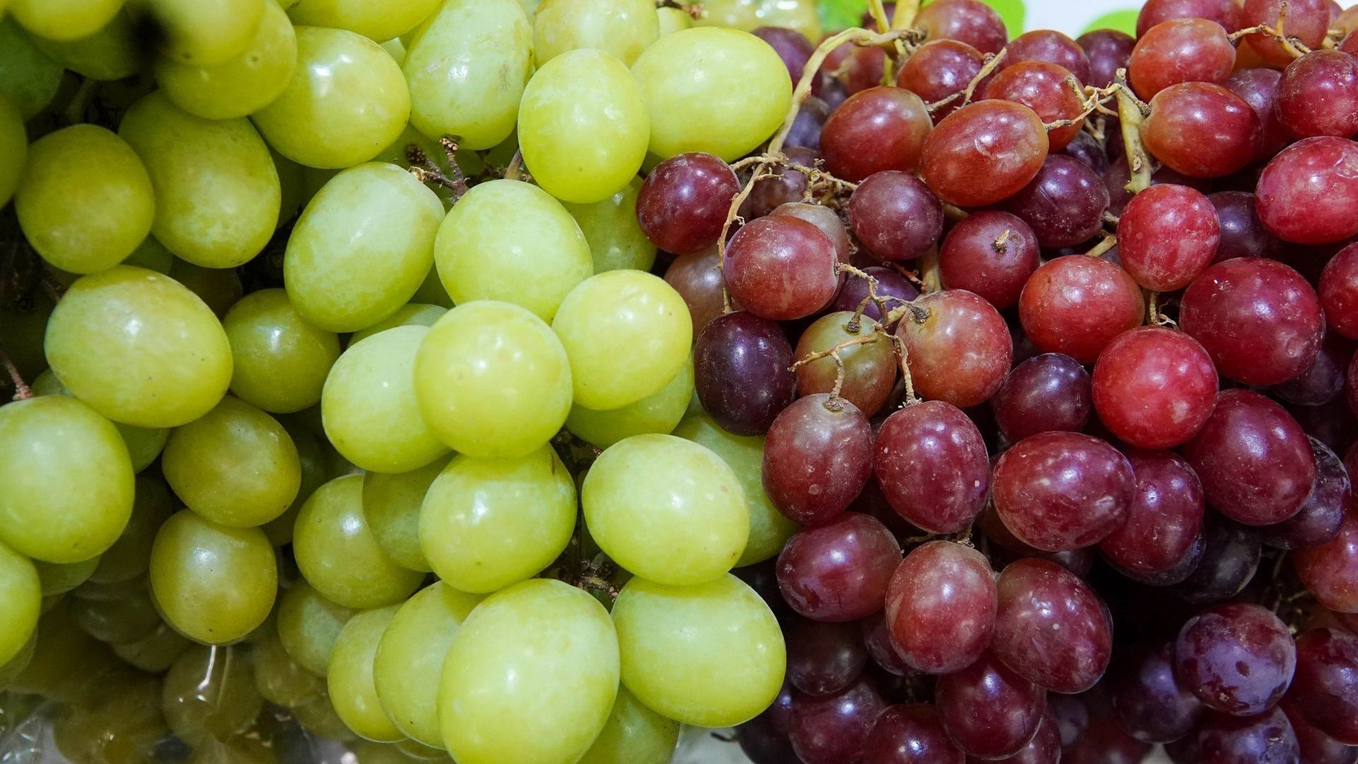 Conoce los diferentes precios de la uva en mercados de CDMX y tiendas en línea para la tradición de Año Nuevo 2025