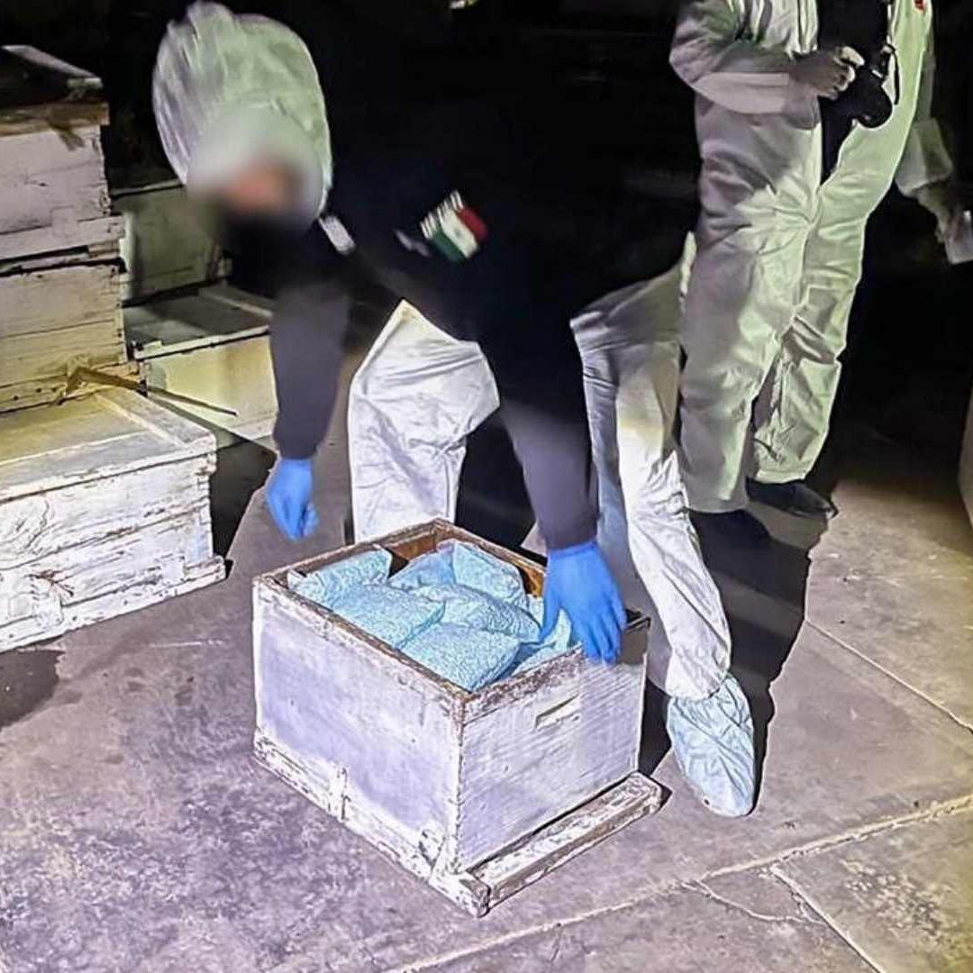 “No Es Muy Creíble”: Sheinbaum por Reportaje del NYT sobre Laboratorio de Fentanilo del Cártel de Sinaloa