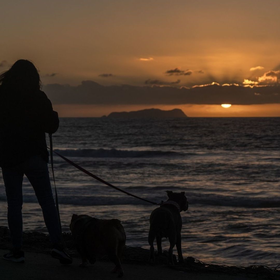 ¿Vacaciones de Semana Santa en la Playa? Alerta Cofepris por Riesgos a la Salud en 6 Destinos