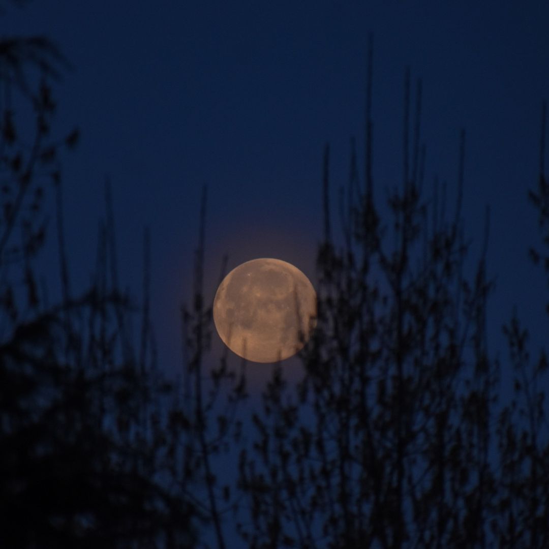 Luna llena se aprecia en Srinagar, India