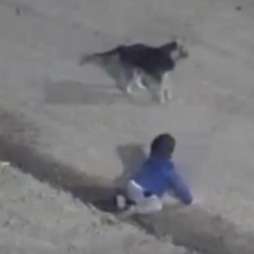 Un bebé vivió una aventura en pañales cuando se salió de su casa y fue hallado gateando en la calle
