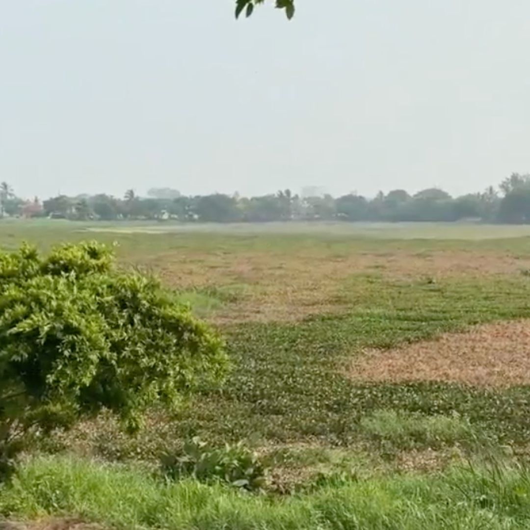 Ante Sequía, Roban Agua de Laguna Lagartos para Venderla en Pipas