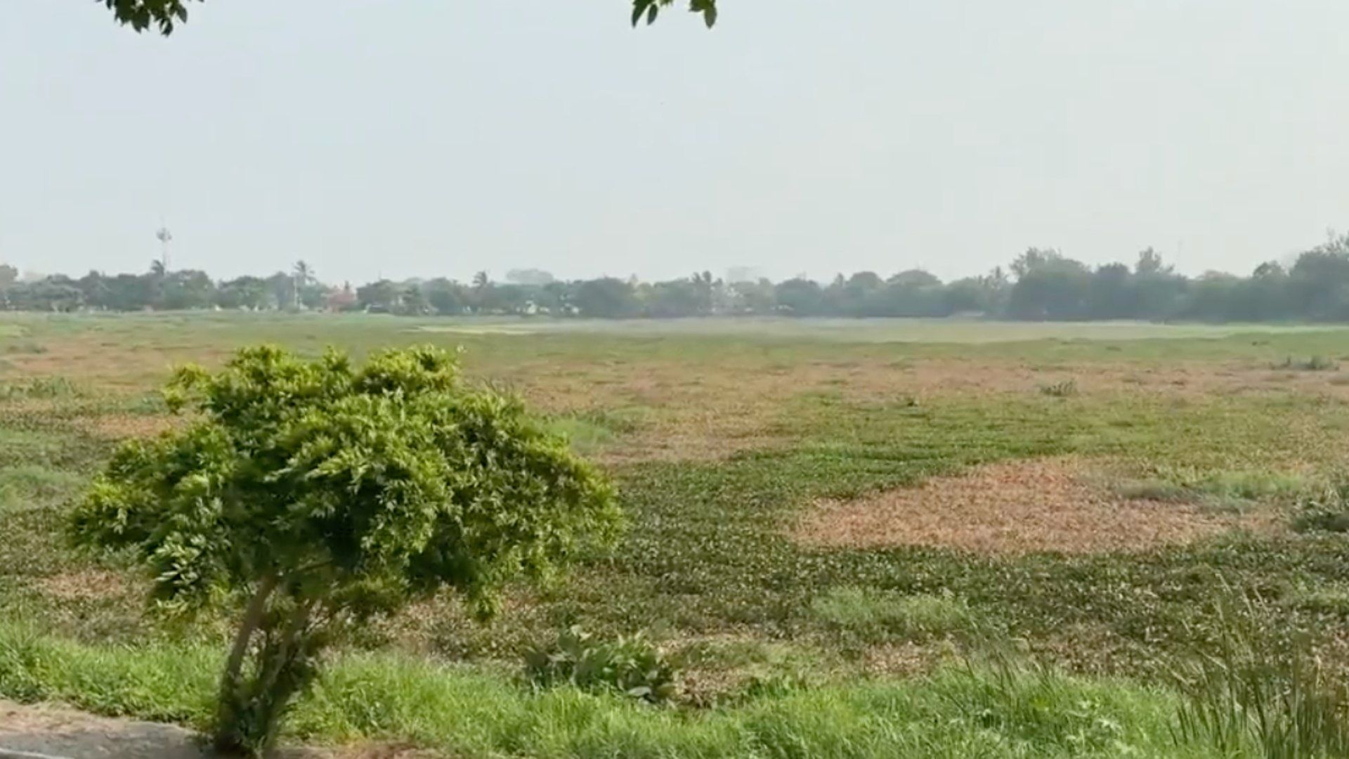Ante Sequía, Roban Agua de Laguna Lagartos para Venderla en Pipas