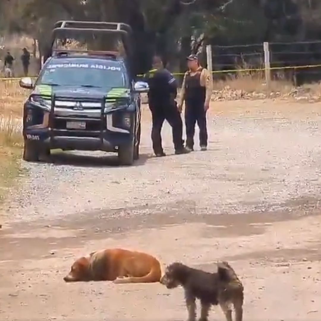 Continúa la localización de restos humanos en Bosques de Santa Anita.