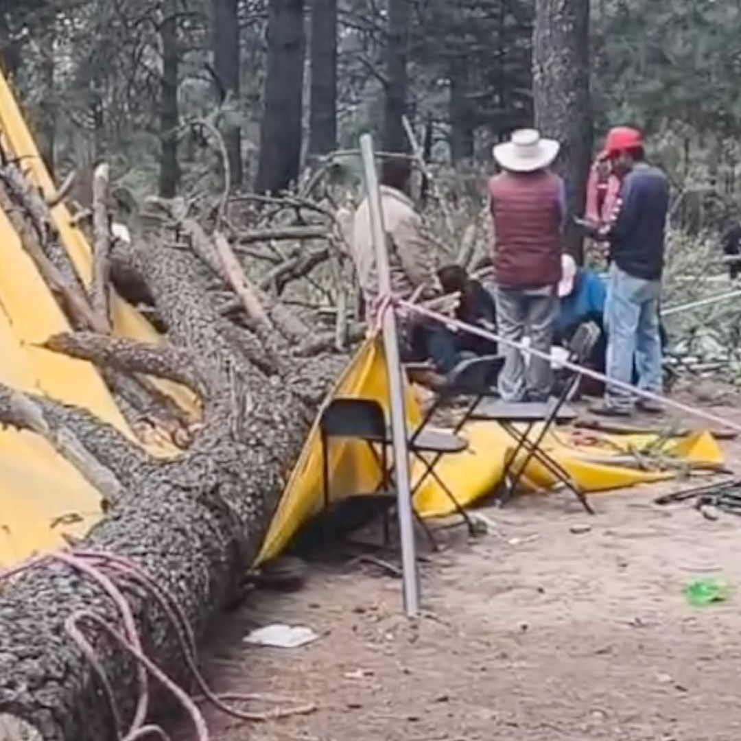 Árbol cae sobre grupo de feligreses y mata a una mujer en San Francisco Tetlanohcan,Tlaxcala.