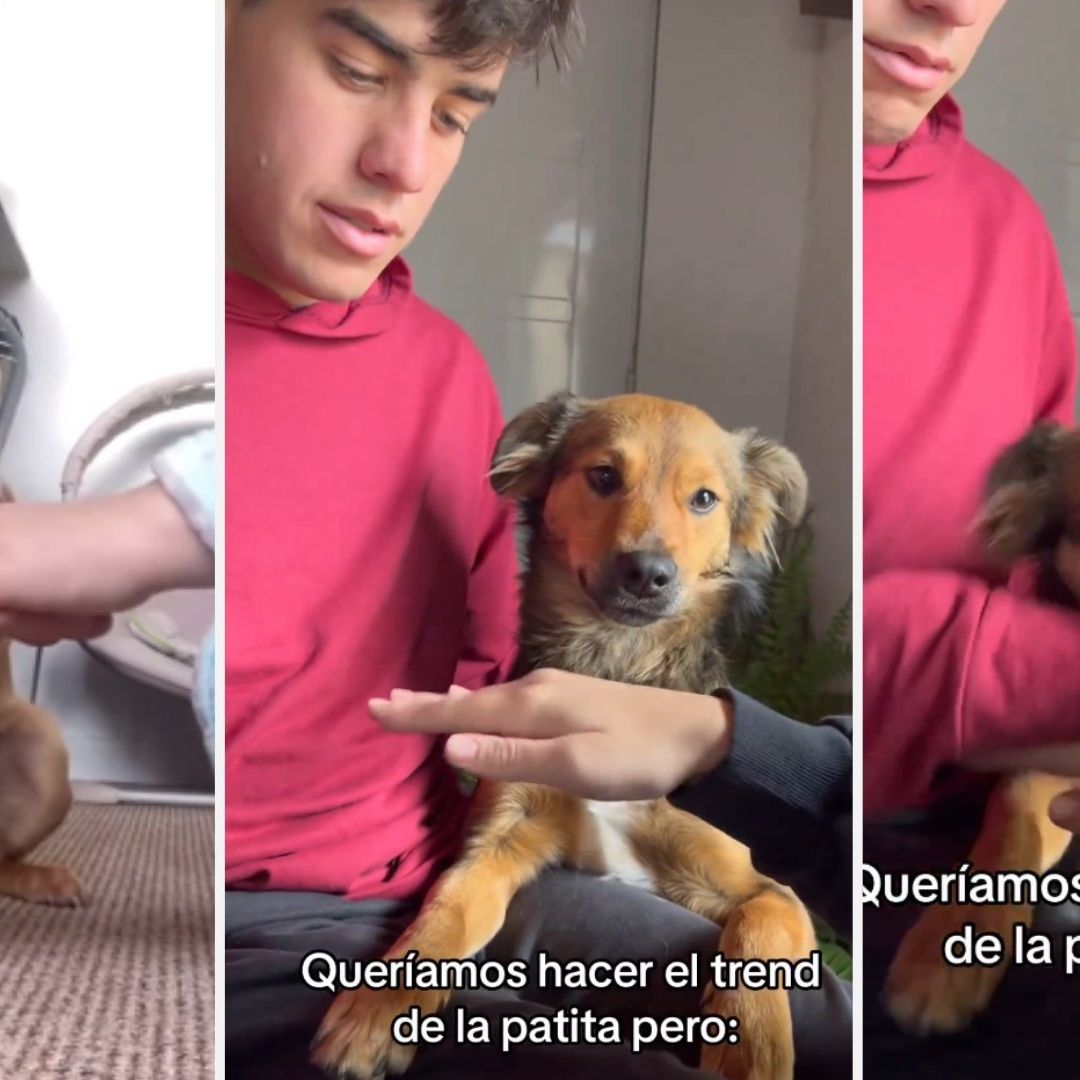 Video | Jóvenes Buscan Cumplir Reto Viral y Resultan Mordidos por su Perrito
