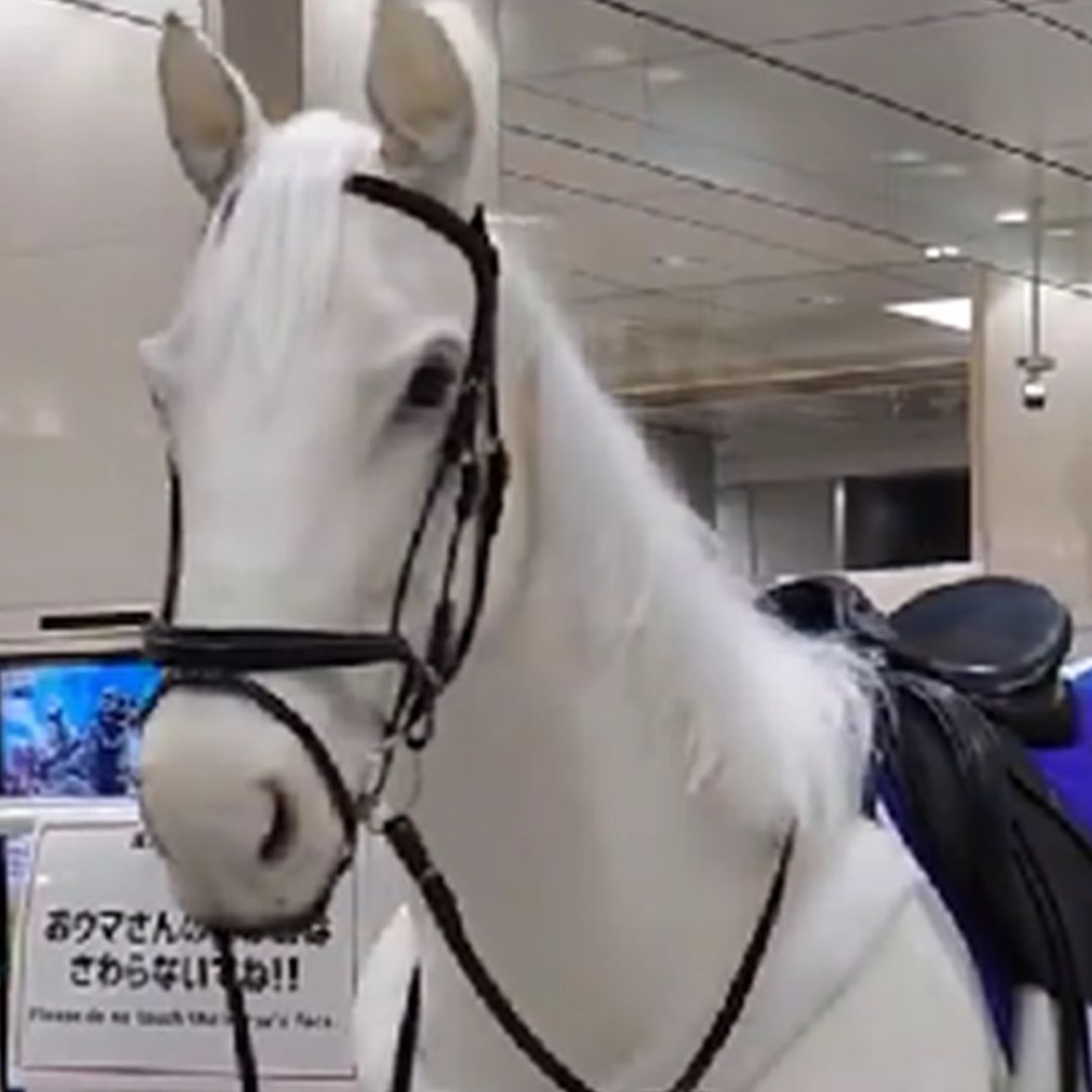 Caballo robot en el Metro de Tokio, Japón