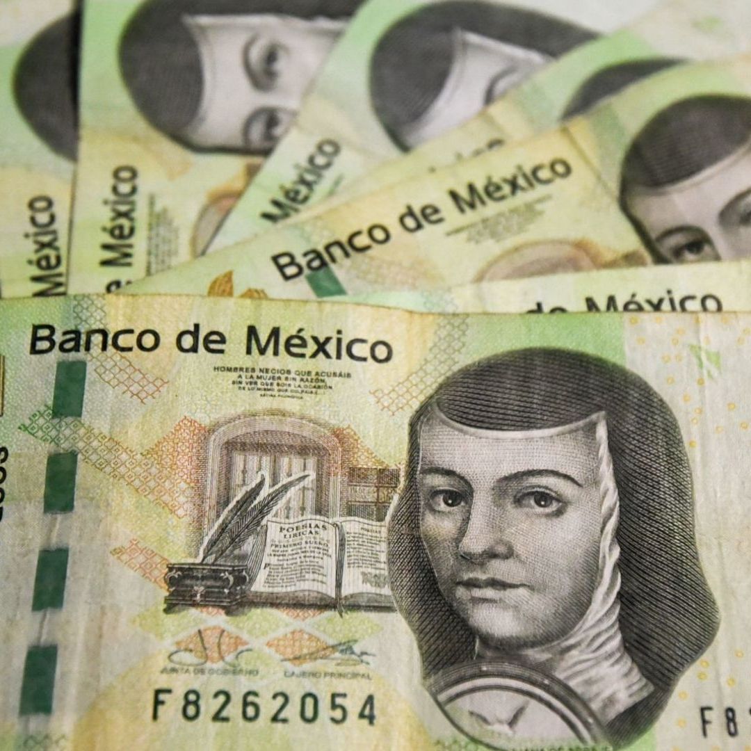 Cuándo pagan Jóvenes Construyendo el Futuro Junio 2024 y de cuánto será