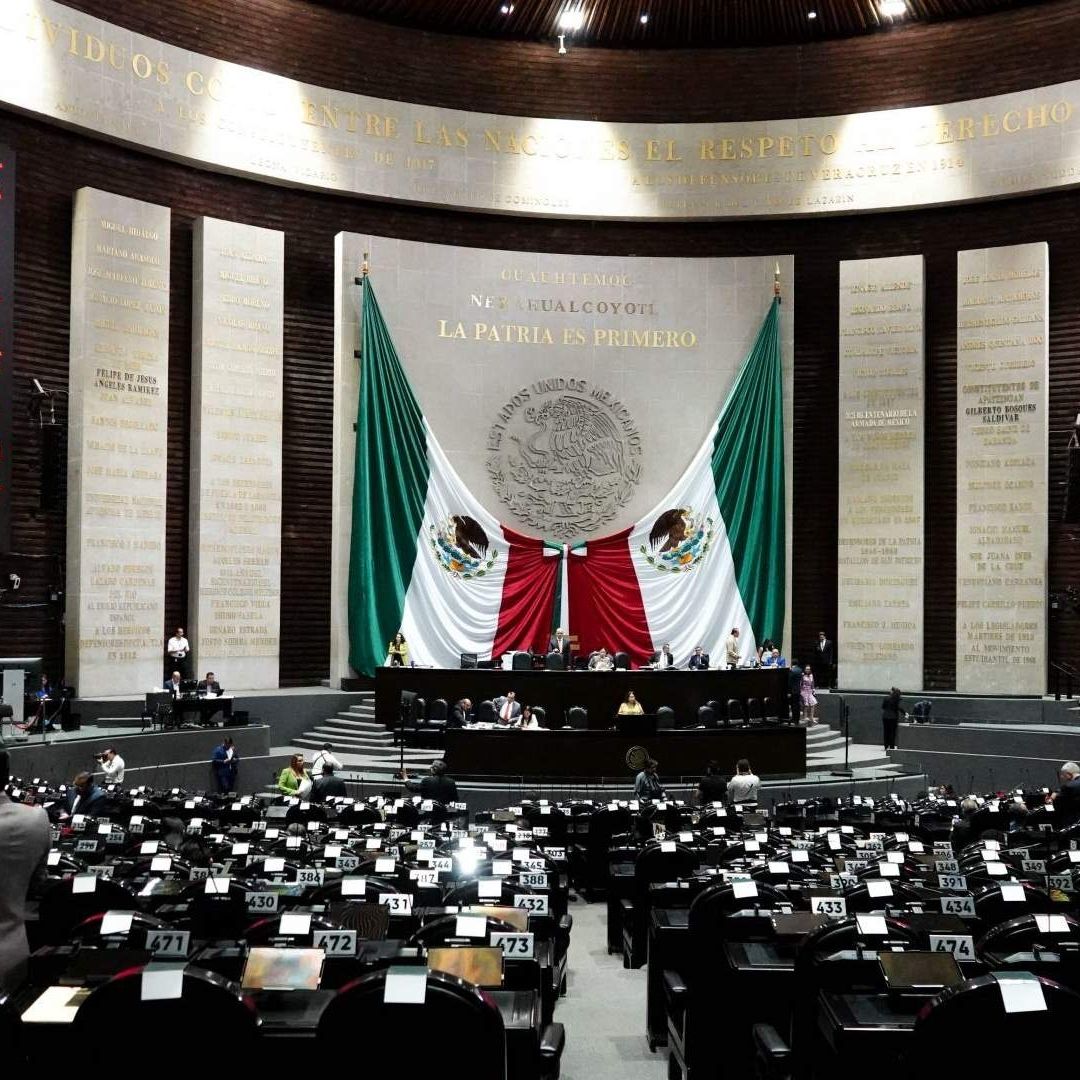 Los Diputados de Morena celebraron que la coalición Sigamos Haciendo Historia obtuvo 365 escaños en la Cámara baja; esto significa