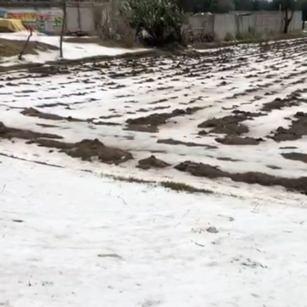 Afectaciones por Granizada Atípica en Municipios Zitlaltepec Cuapiaxtla e Ixtenco en Tlaxcala Tlaxco