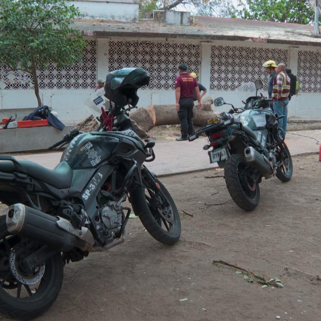 motopatrullas y zona de árbol derrumbado por evento de norte que lesionó a un hombre.