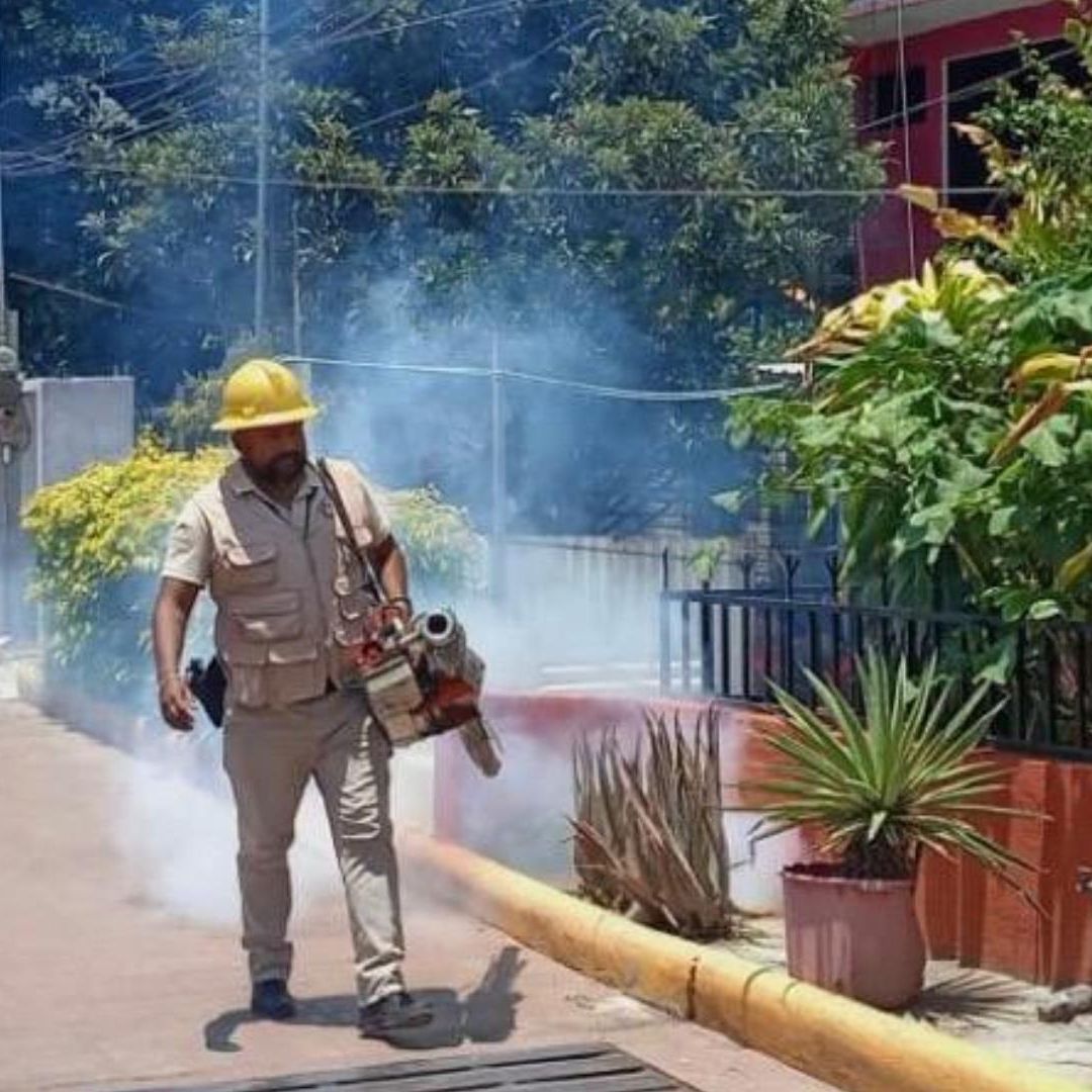Casos de Dengue en México se Cuadruplican Respecto al Año Anterior
