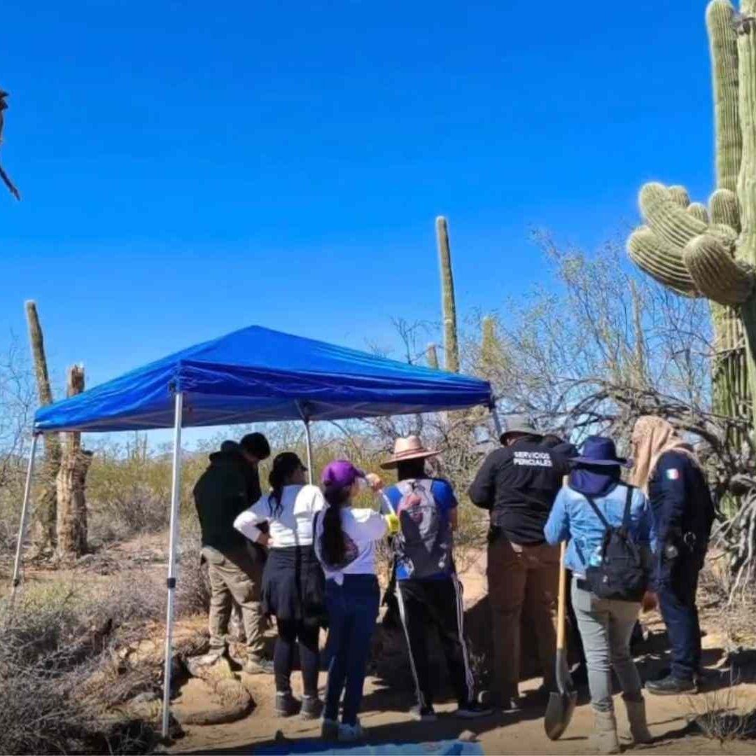 Localizan Más de 16 Fosas Clandestinas en Sonoyta, Sonora; Fiscalía Realiza Investigaciones