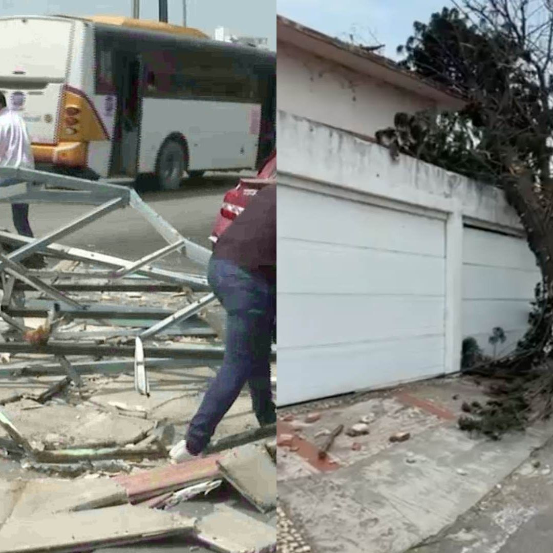 Afectaciones Frente Frío 41 Veracruz Evento de Norte Violento Personas Lesionadas Rachas Viento