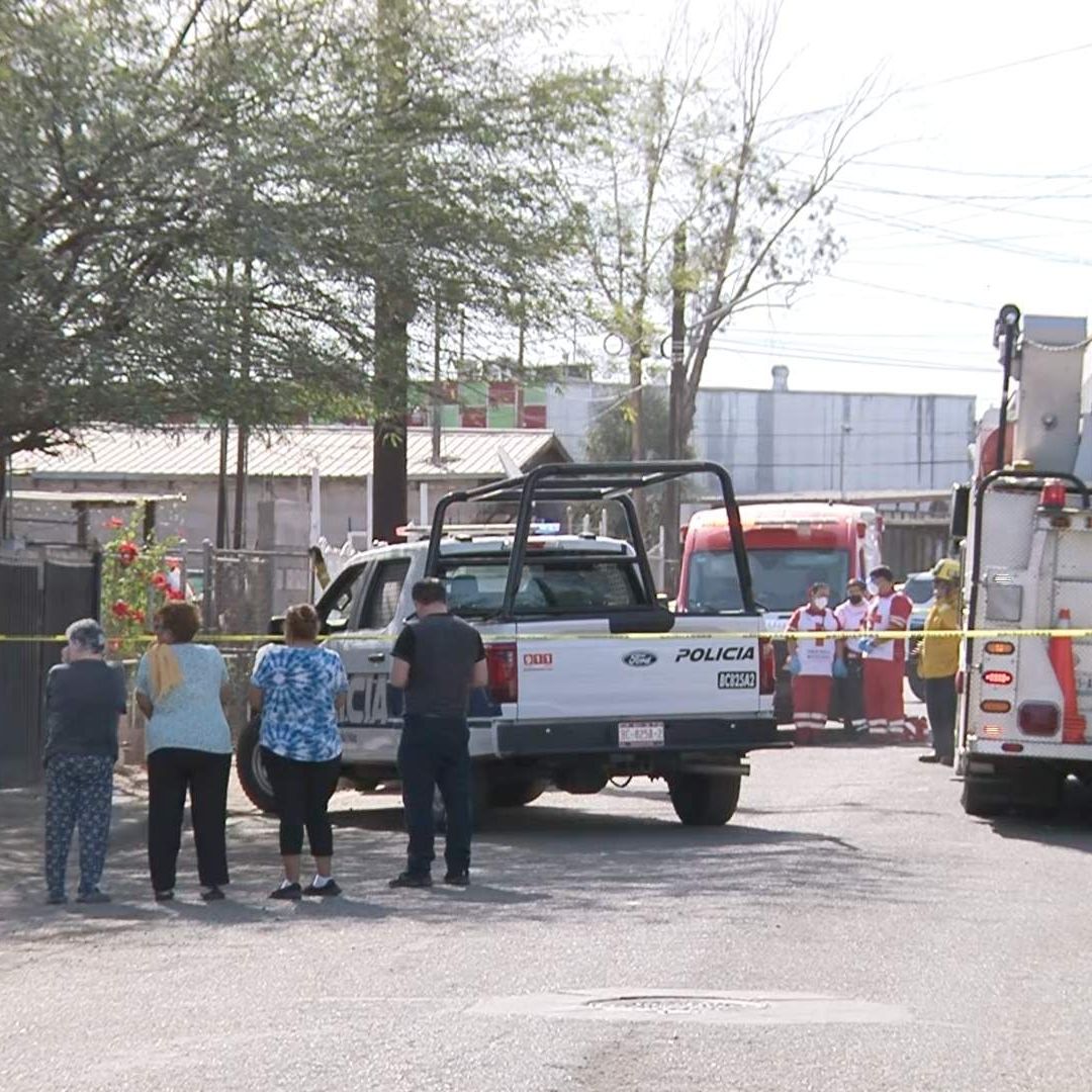 Hombre Muere Electrocutado al Podar Árbol en Mexicali