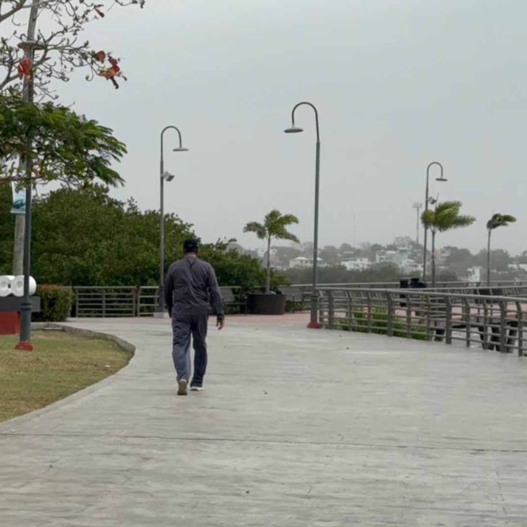 Frente Frío No. 41 en Tamaulipas Ingresa con Vientos de Hasta 120 km/h; Así el Clima Hoy Lunes