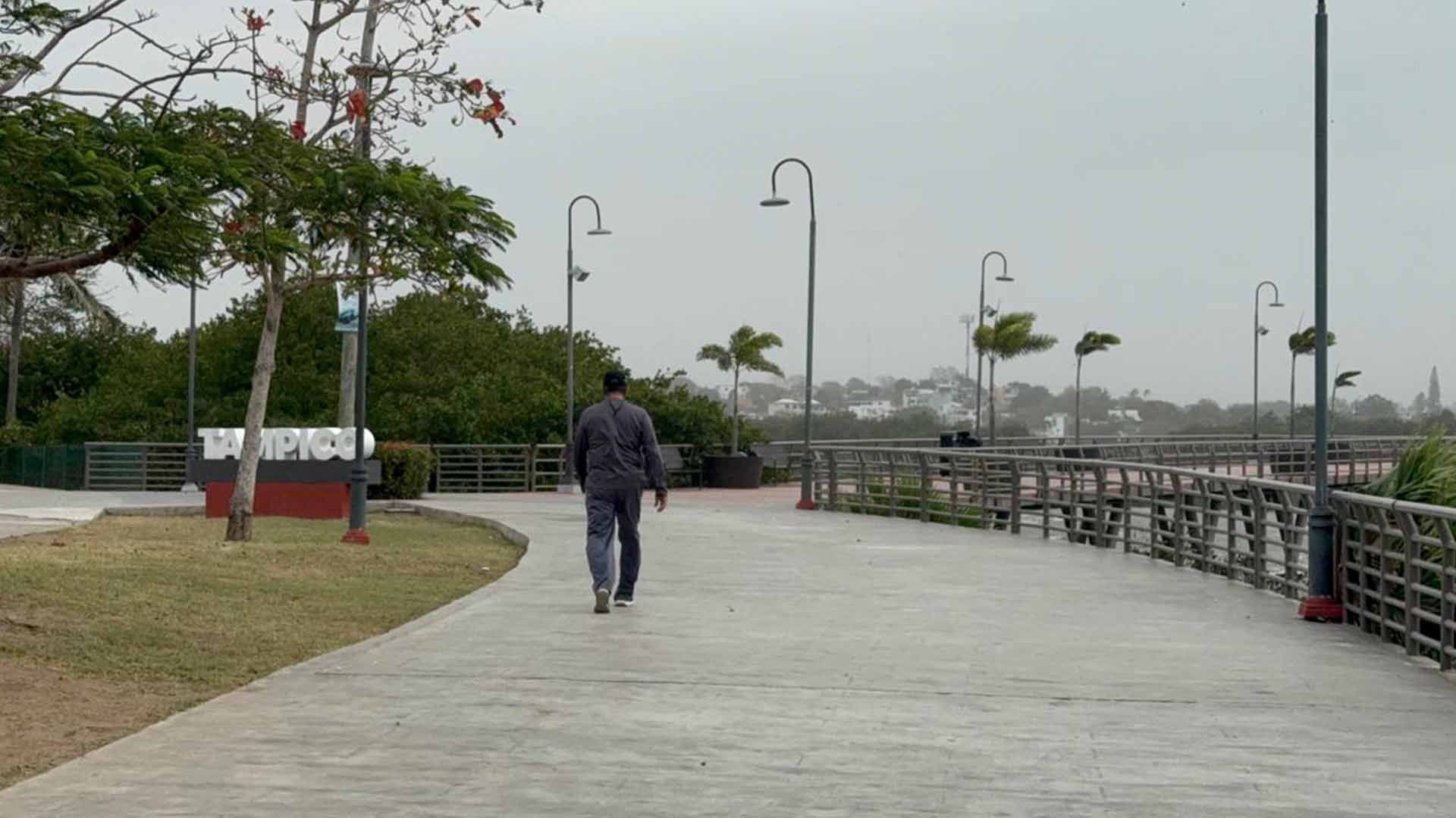 Frente Frío No. 41 en Tamaulipas Ingresa con Vientos de Hasta 120 km/h; Así el Clima Hoy Lunes
