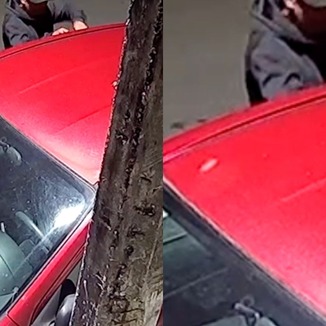 Cámara de seguridad capta intento de robo en Fortín, Veracruz.
