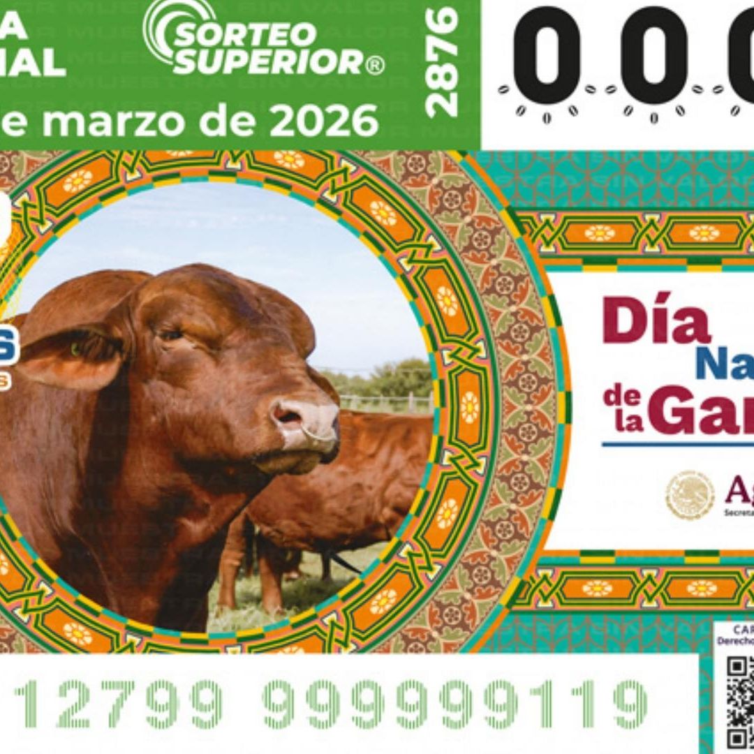 Resultados Lotería Nacional hoy 13 de marzo 2026 lista de premios números ganadores Sorteo Superior 2876