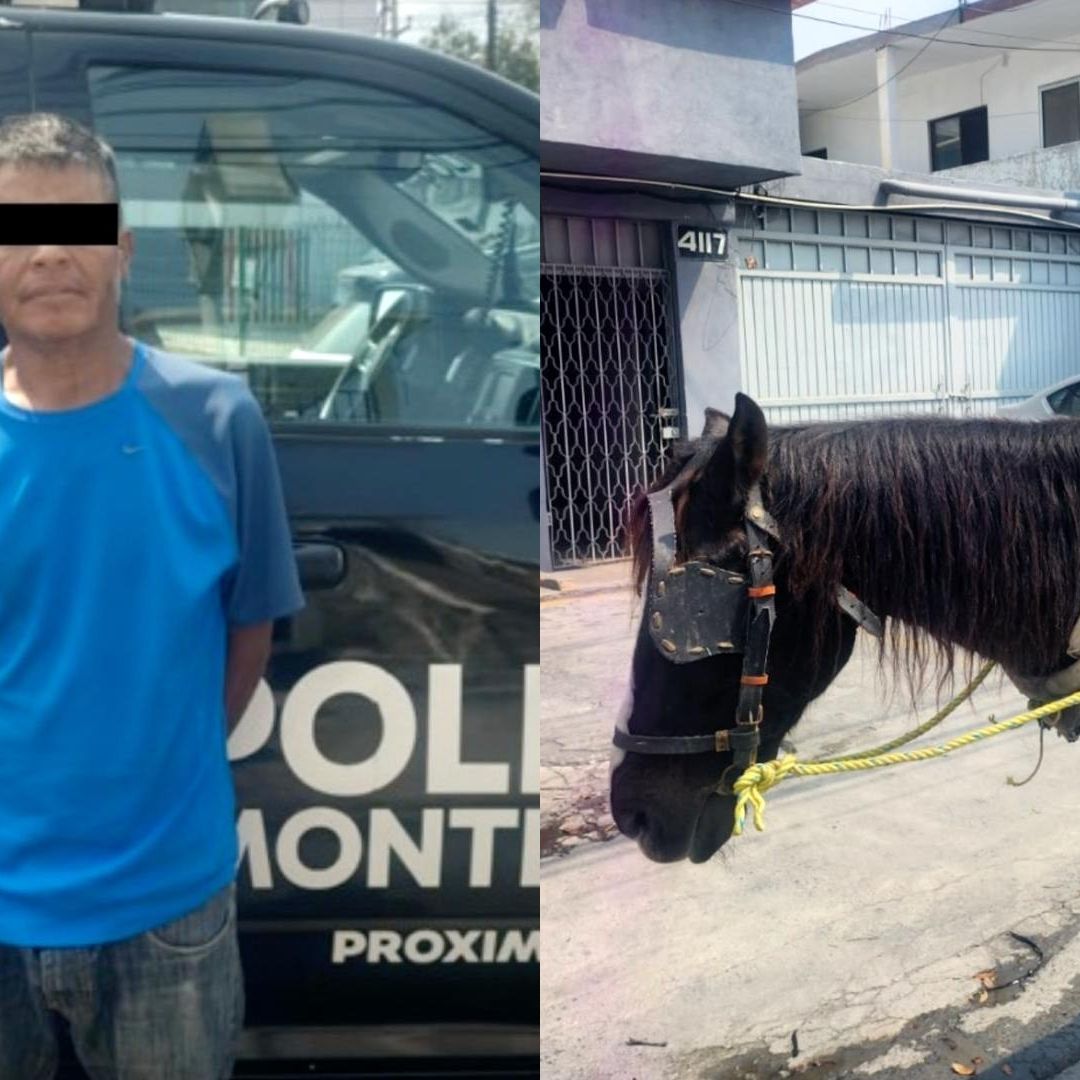 Detenido